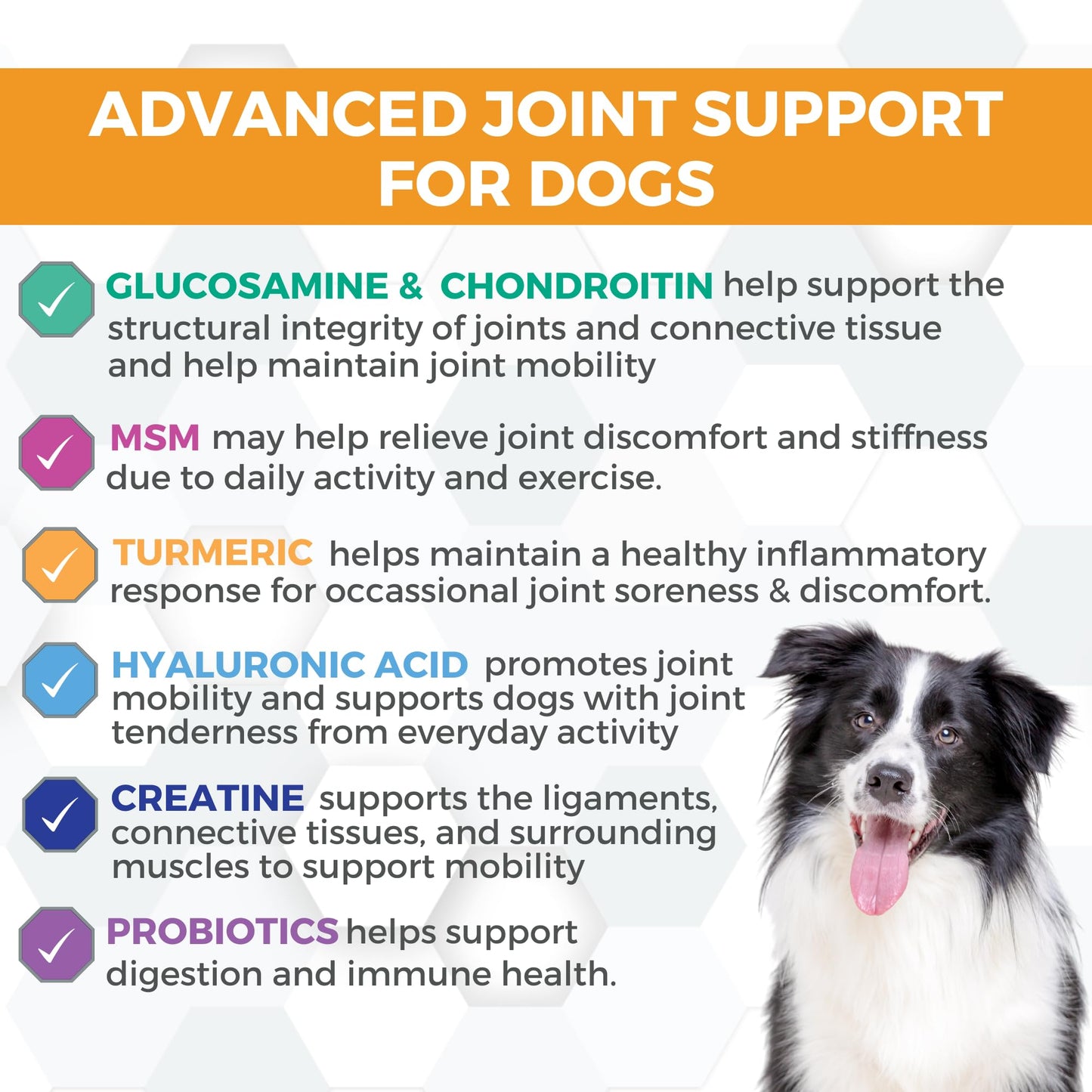 Nootie, Progility, Hip & Joint, For Dogs, 90 Soft Chews