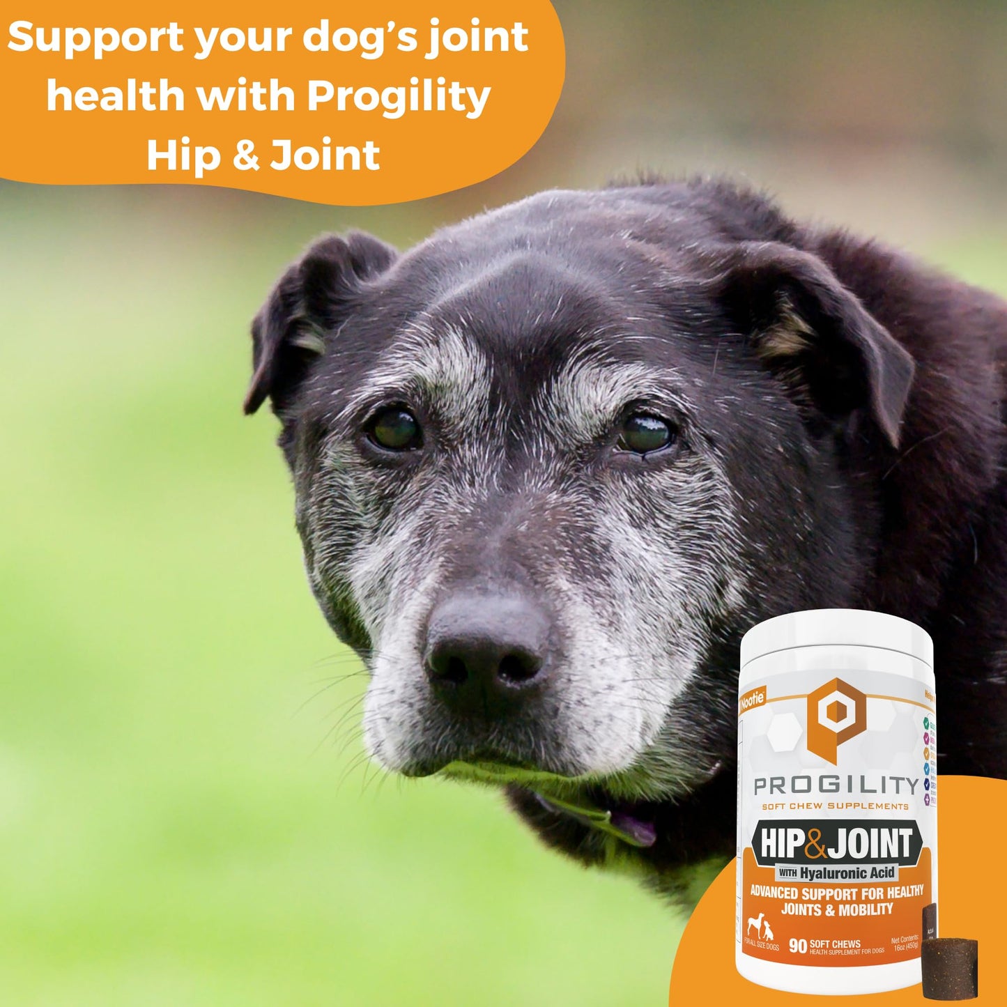 Nootie, Progility, Hip & Joint, For Dogs, 90 Soft Chews