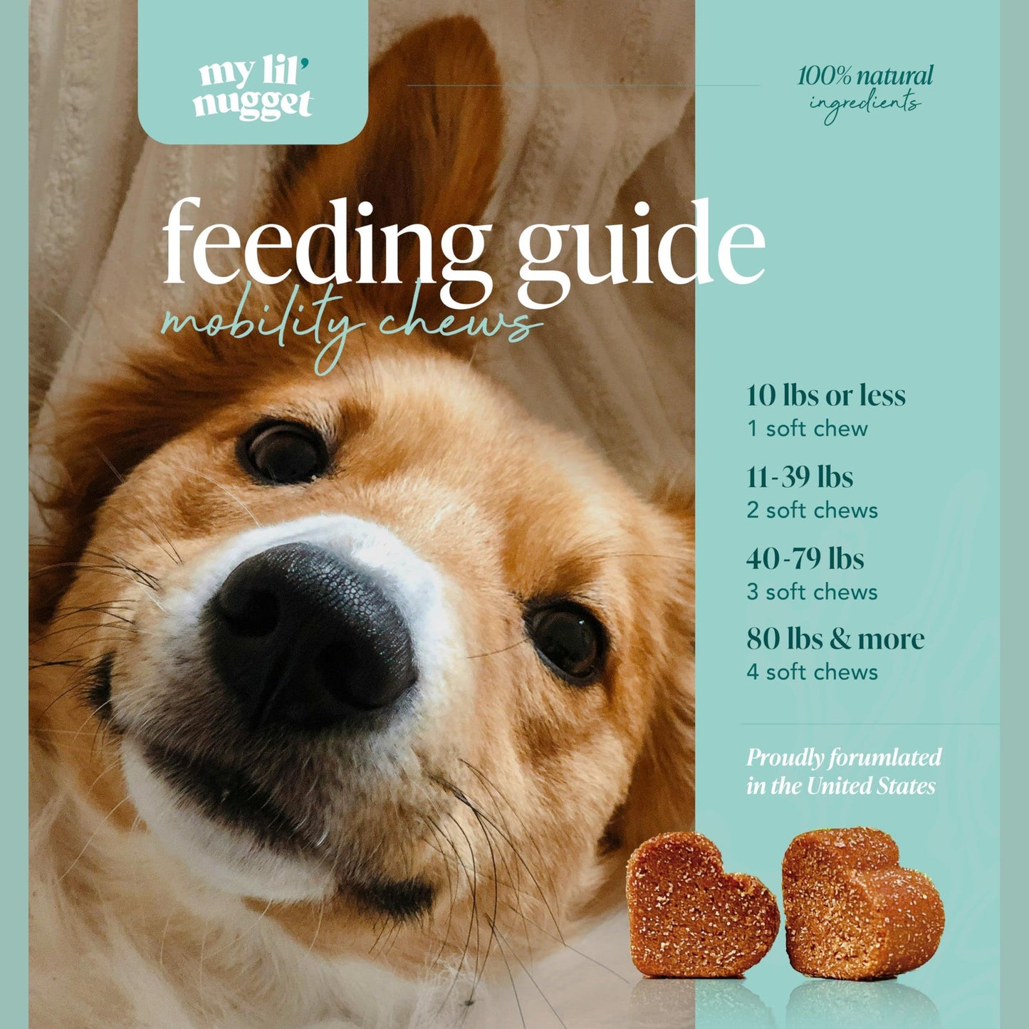 My Lil’ Nugget – Vet-Approved Hip and Joint Support for Dogs | All-Natural Dog Arthritis & Joint Pain Relief | Glucosamine, Chondroitin & Hemp | All-Ages – Senior Dog to Puppy | 90 Bacon Flavor Chews