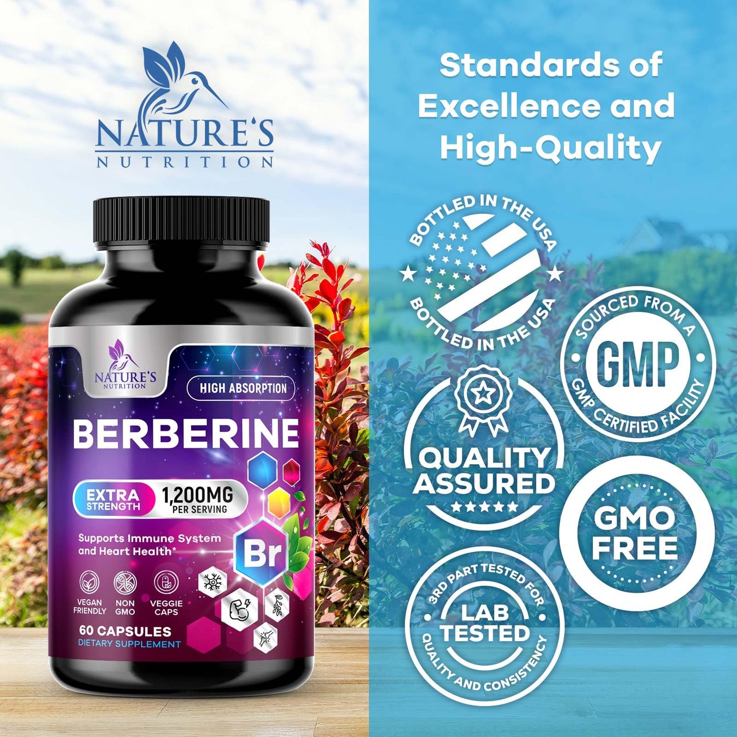 Berberine HCL 1200mg Supplement - Berberine HCI Capsules High Absorption Supplement for Heart Health & Immune Support, High Strength, Gluten-Free, Vegan, Non-GMO Pills - 60 Veggie Capsules - Medaid International