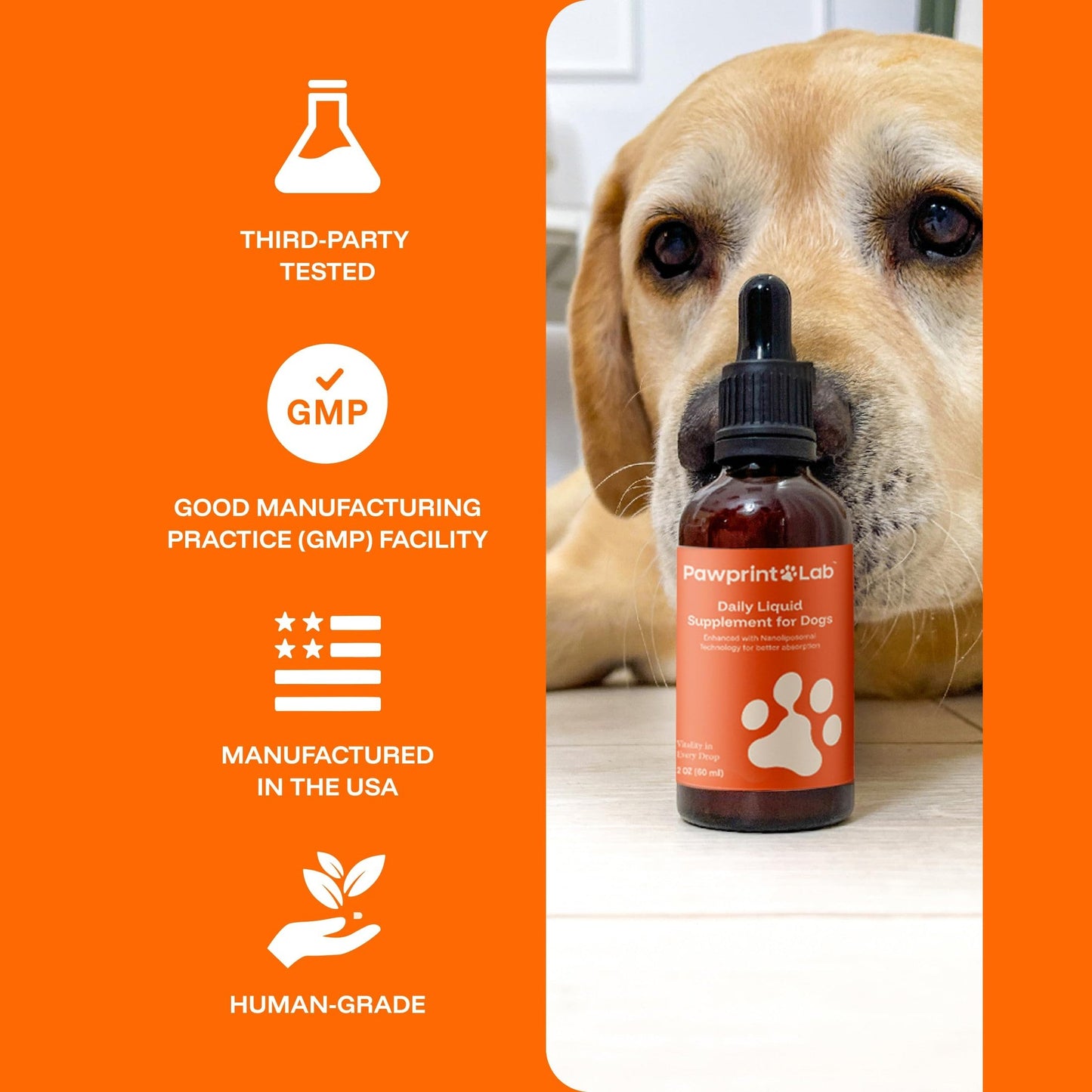 PAWPRINT Lab Dog Longevity Supplement NAD+ & NMN - Joint Health, Vitality & Healthy Aging - Nano liposomal Technology - Easy to Give Every Day - Better Absorption - Resveratrol - CoQ10