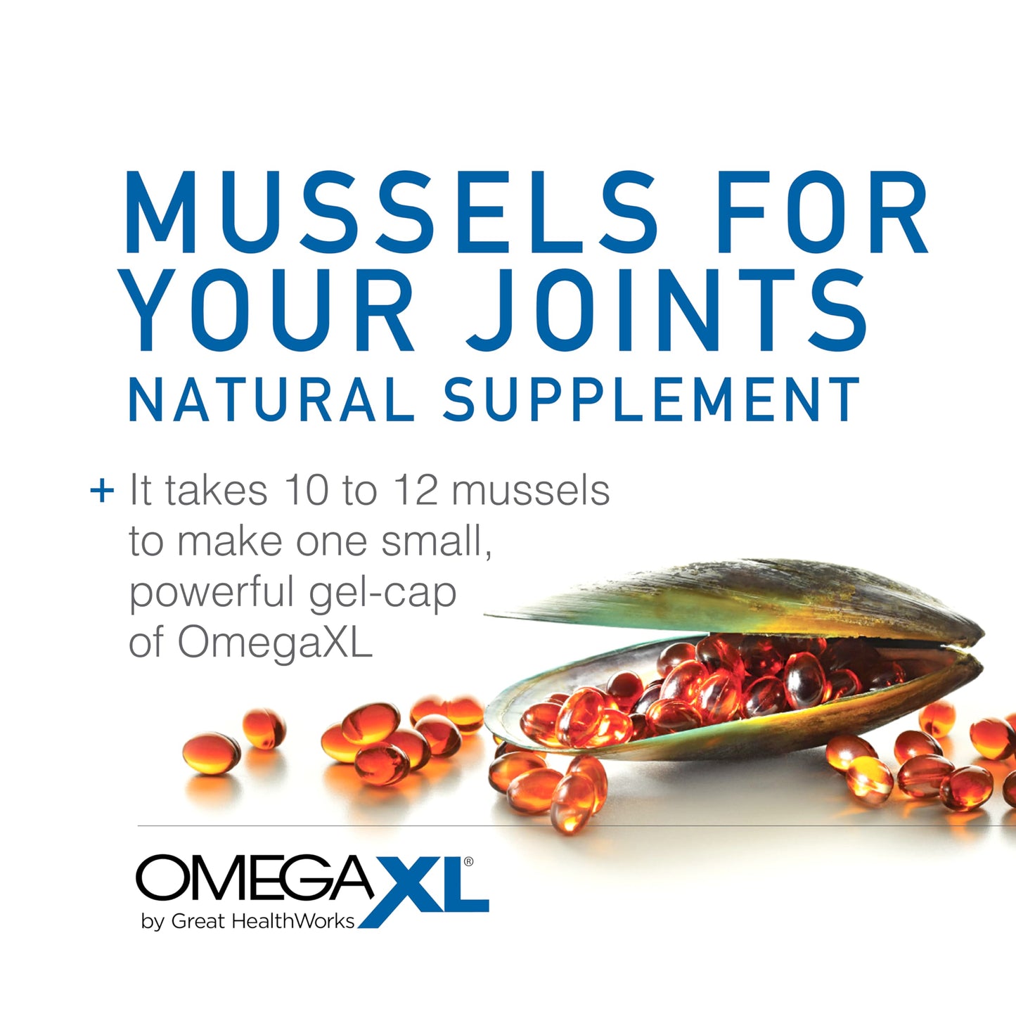 OmegaXL Joint Support Supplement, for Relief - Natural Muscle Support, Green Lipped Mussel Oil, Soft Gel Pills, Drug-Free, 60 Count - Medaid International