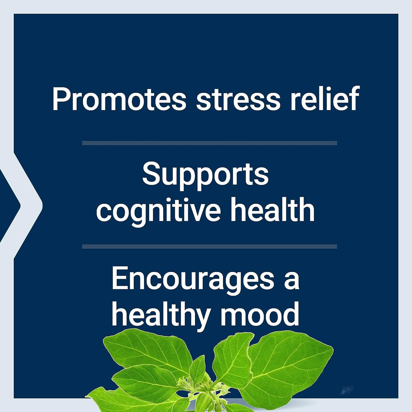 Organic Ashwagandha Capsules - Life Extension - Medaid - Lebanon
