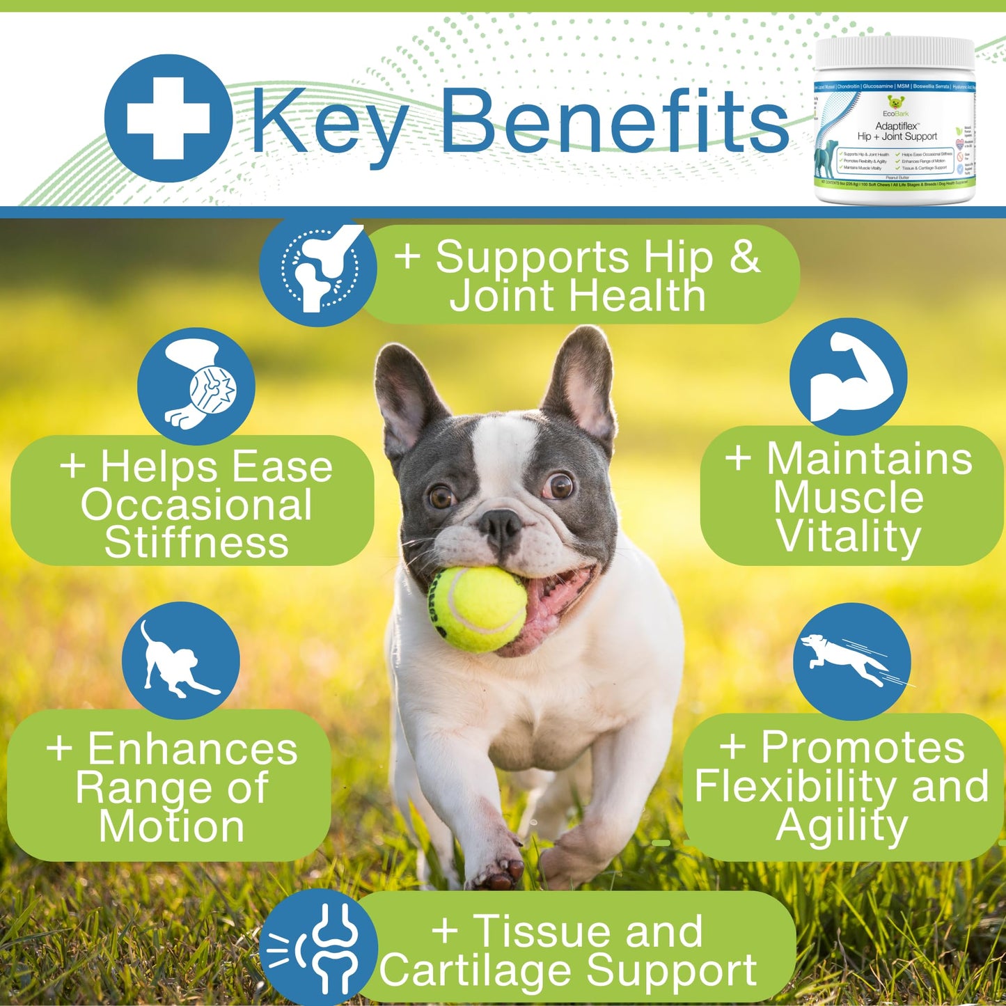 EcoBark Adaptiflex Hip and Joint Formula (Peanut Flavor)