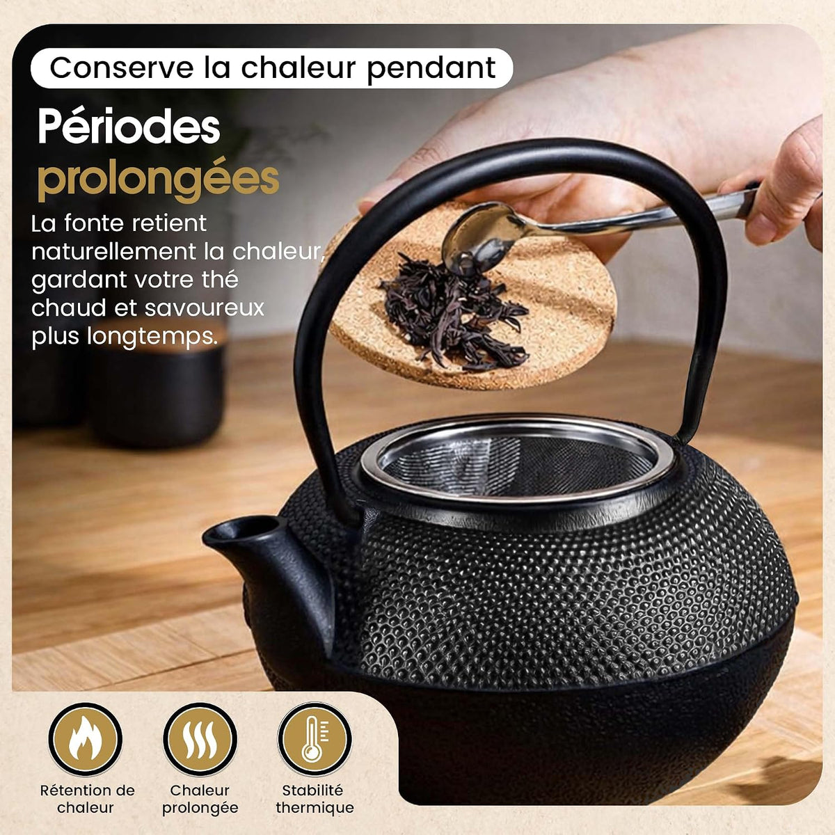Dimono cast iron teapot