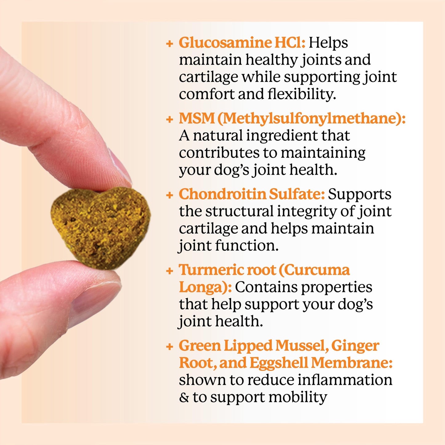Dr. Harvey's Hip & Joint Soft Chews for Dogs, Daily Mobility Supplement Chewable Bites for Dogs with Glucosamine, Chondroitin & MSM, Green Lipped Mussel, Chicken Flavor (90 Chews)