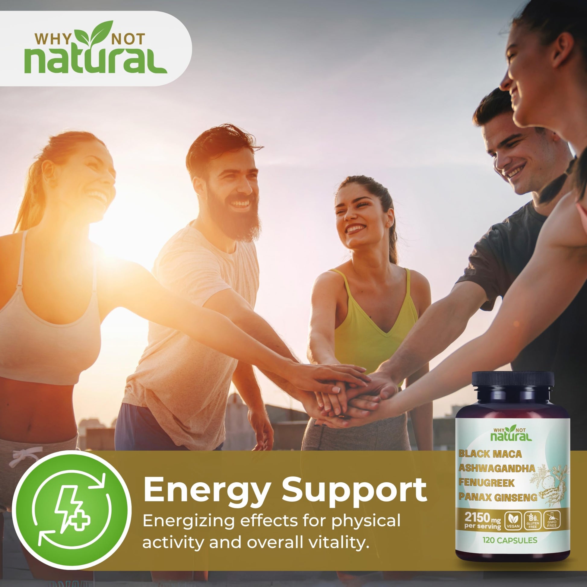 Why Not Natural 4-in-1 Organic Black Maca Root, Ashwagandha, Fenugreek, Panax Ginseng Capsules, Supplement for Men and Women - Medaid International