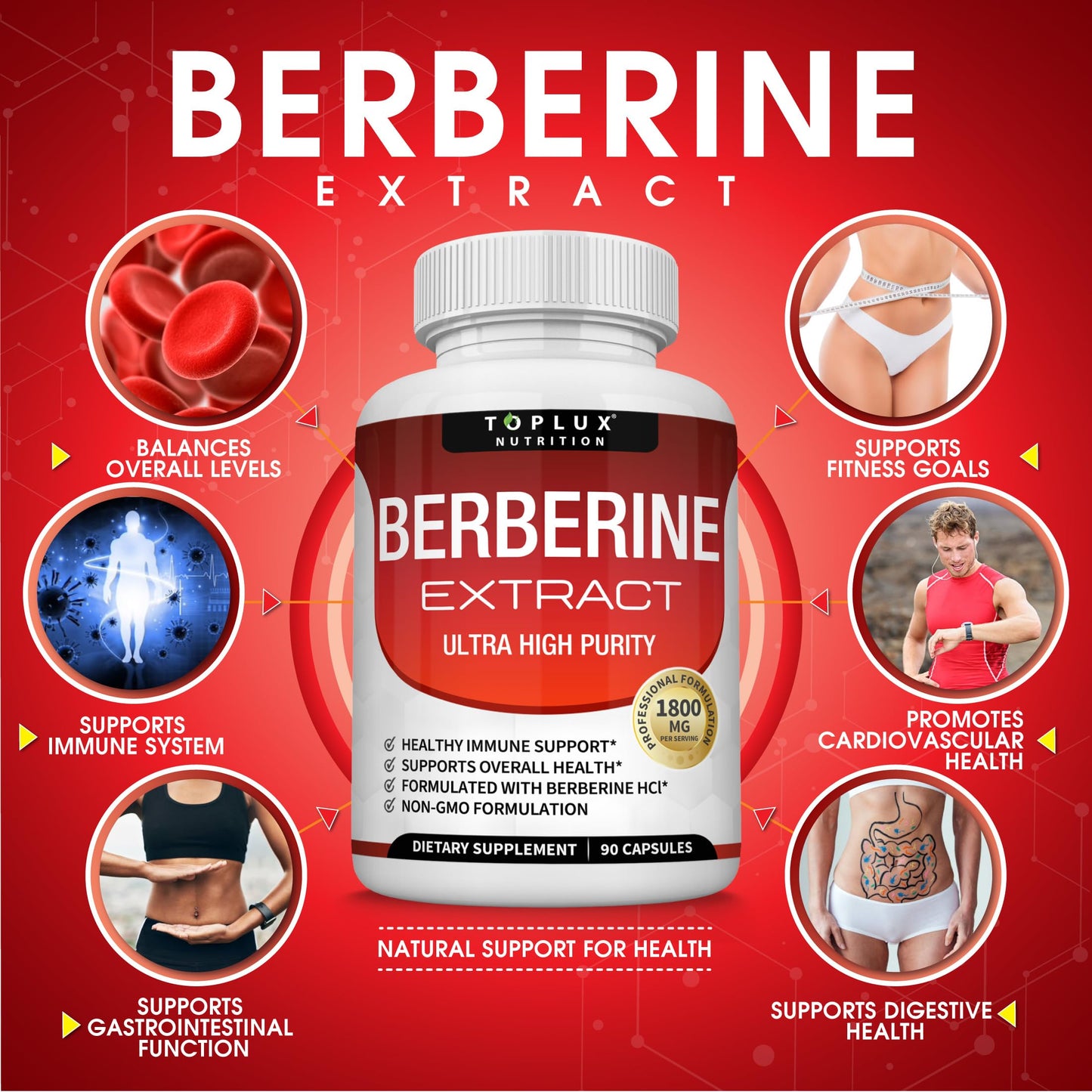 Berberine Supplement 1800mg - Berberine HCL 97% Tested Ultra High Purity Premium Berberine Extract to Support Overall Health, High Potency Berberine Plus Non-GMO Vegan Men Women, 90 Capsules - Medaid International