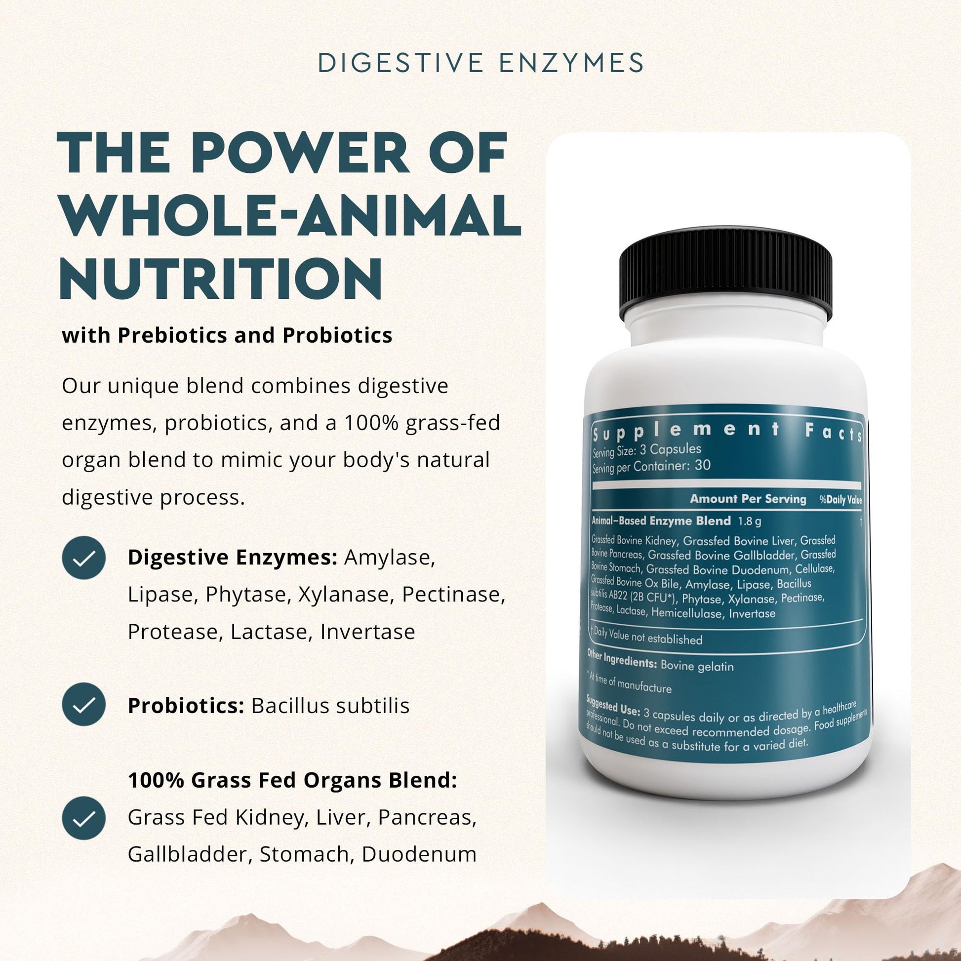 Ancestral Supplements Digestive Enzymes for Women & Men, 90 Capsules, with Probiotics and Grass Fed Beef Organs, Supports Gut Health, Digestive Health & Nutrient Absorption, Allergen Free, Non GMO - Medaid International