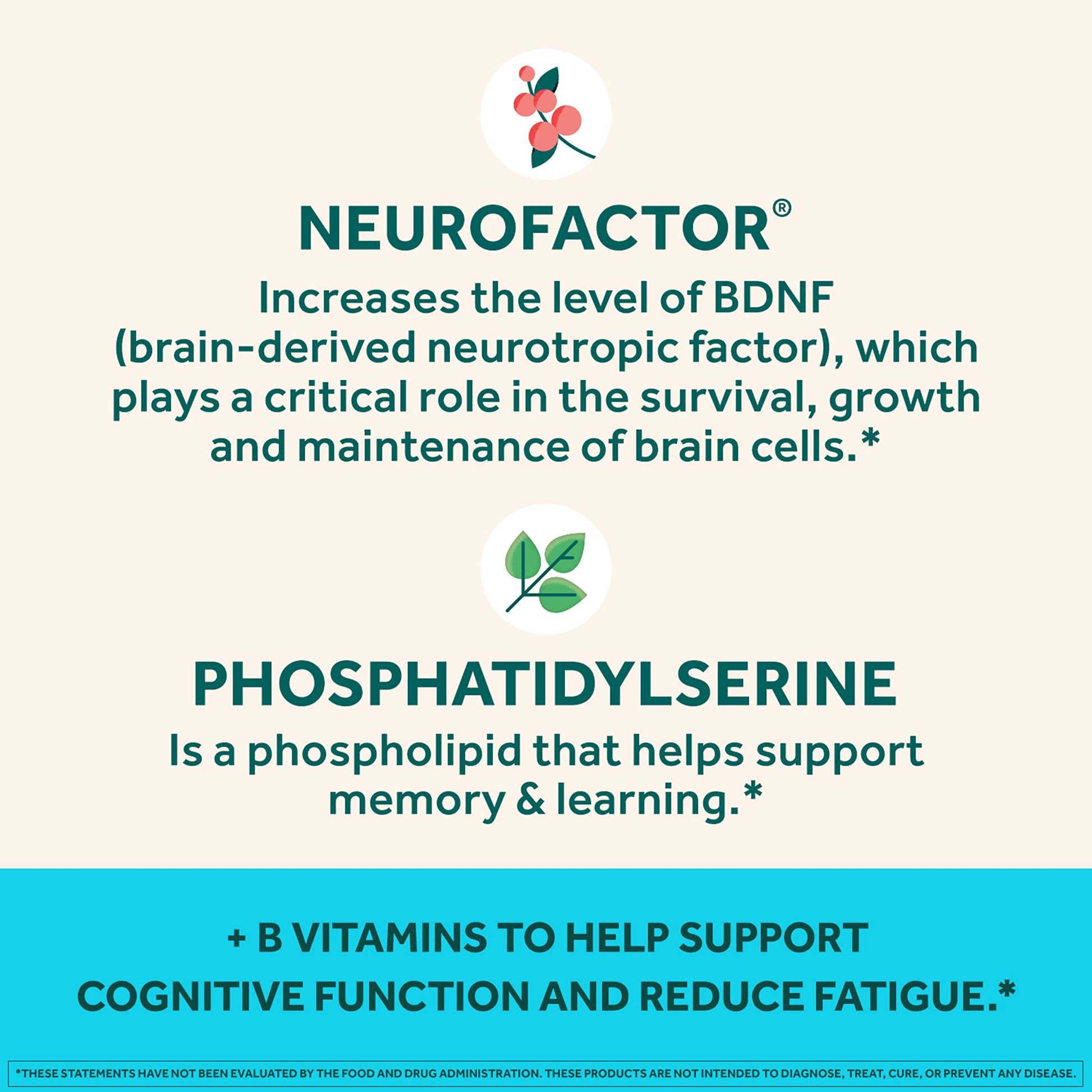 NEURIVA Plus Brain Supplement for Memory,Focus & Concentration+Cognitive Function with Vitamins B6 & B12 and Clinically Tested Nootropics Phosphatidylserine and Neurofactor,50ct Strawberry Gummies - Medaid International