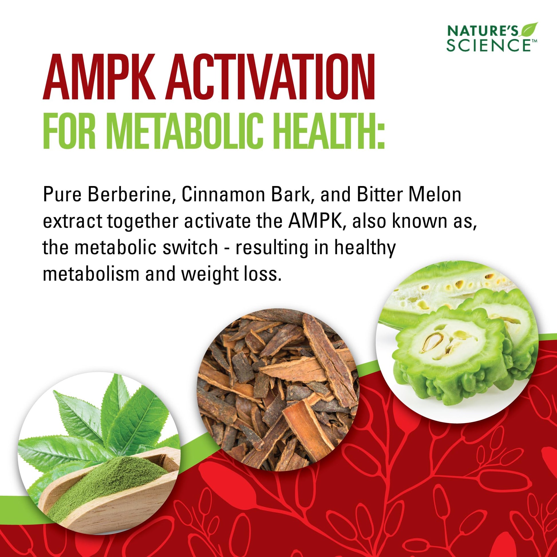 Nature's Science Berberine HCL with Phytosome Green Tea for Weight Management, 100% Pure Clinical Grade Berberine HCL for Better Absorption - Helps Metabolism, Keeps Full for Longer - 60 Caps - Medaid International