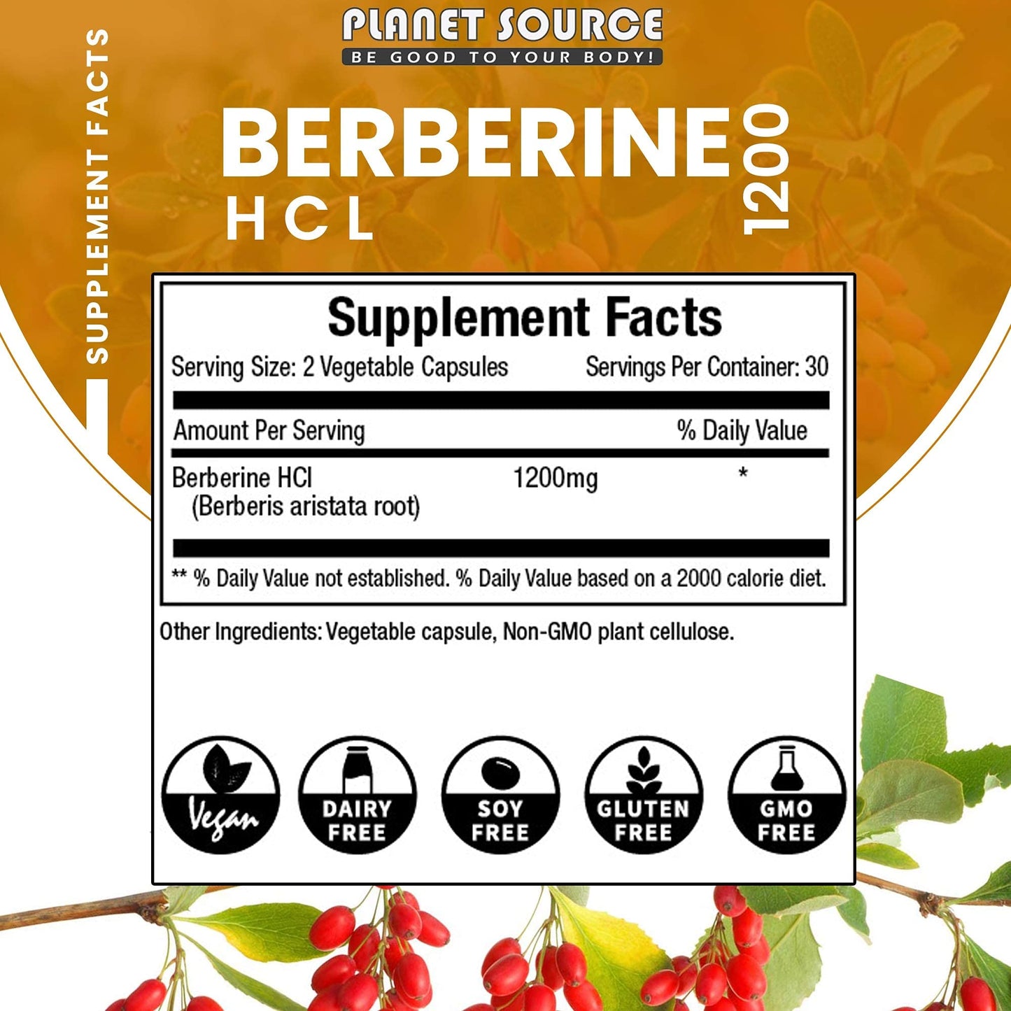 Planet Source Berberine HCl 1200 Mg per Serving 60 Capsules - Medaid International
