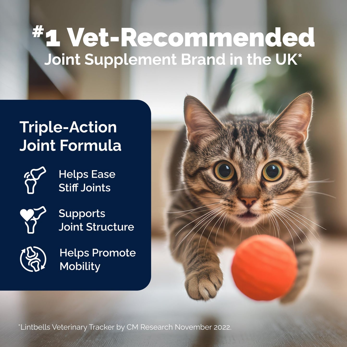 YuMove Joint Care for Senior Cats