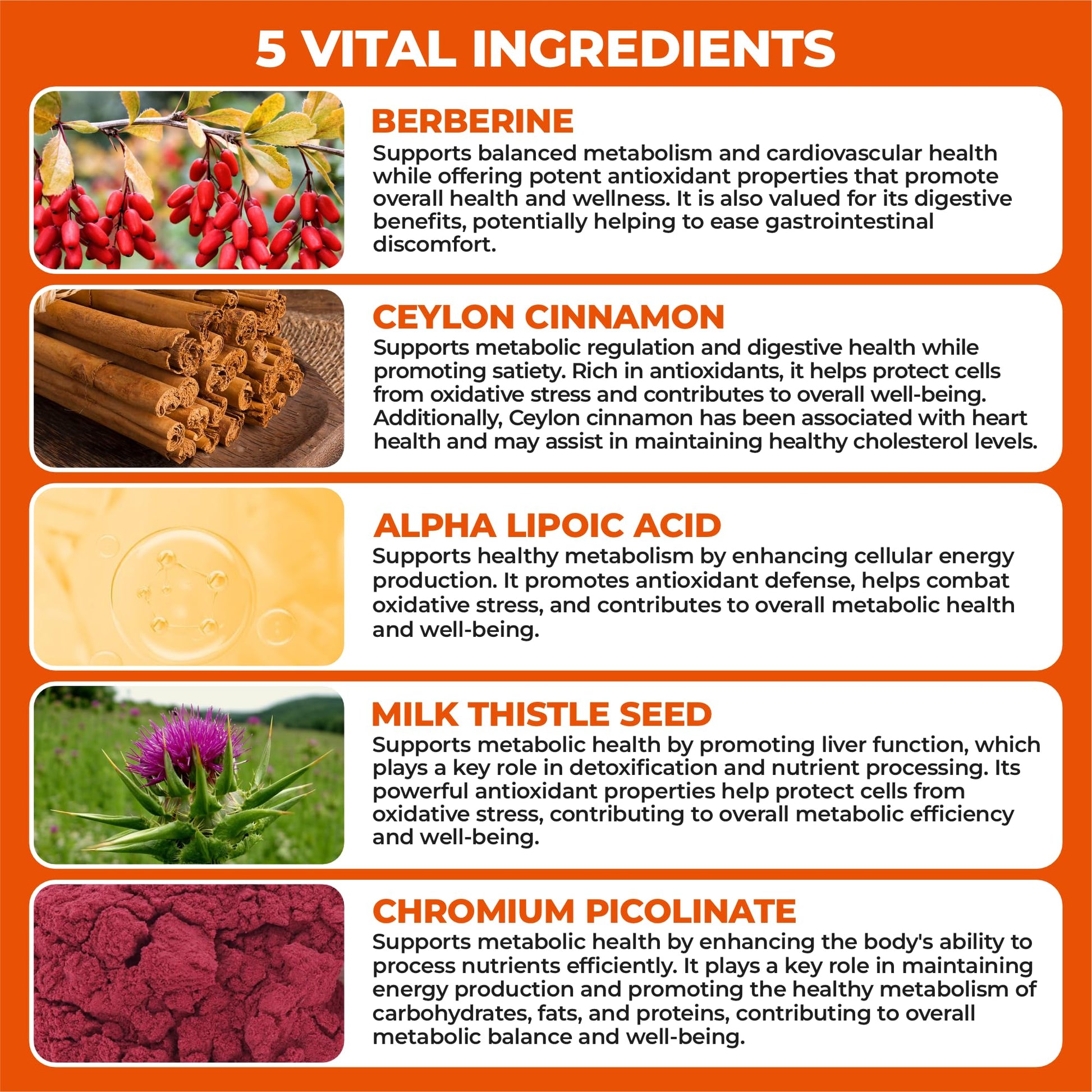 HerbaMe Berberine Supplement with Ceylon Cinnamon, Chromium, Alpha Lipoic Acid, Metabolic Care Supports Metabolism & Cardiovascular Health and Immune System, Helps Maintain Steady Energy Levels - Medaid International