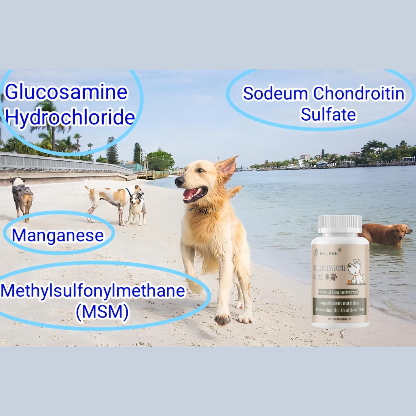Hip and Joint Supplement for Dogs- with Glucosamine, Chondroitin, and MSM,120 Chewable Tablets, Chicken Flavor, Dog Joint Supplement，Joint Support Supplement for Dogs