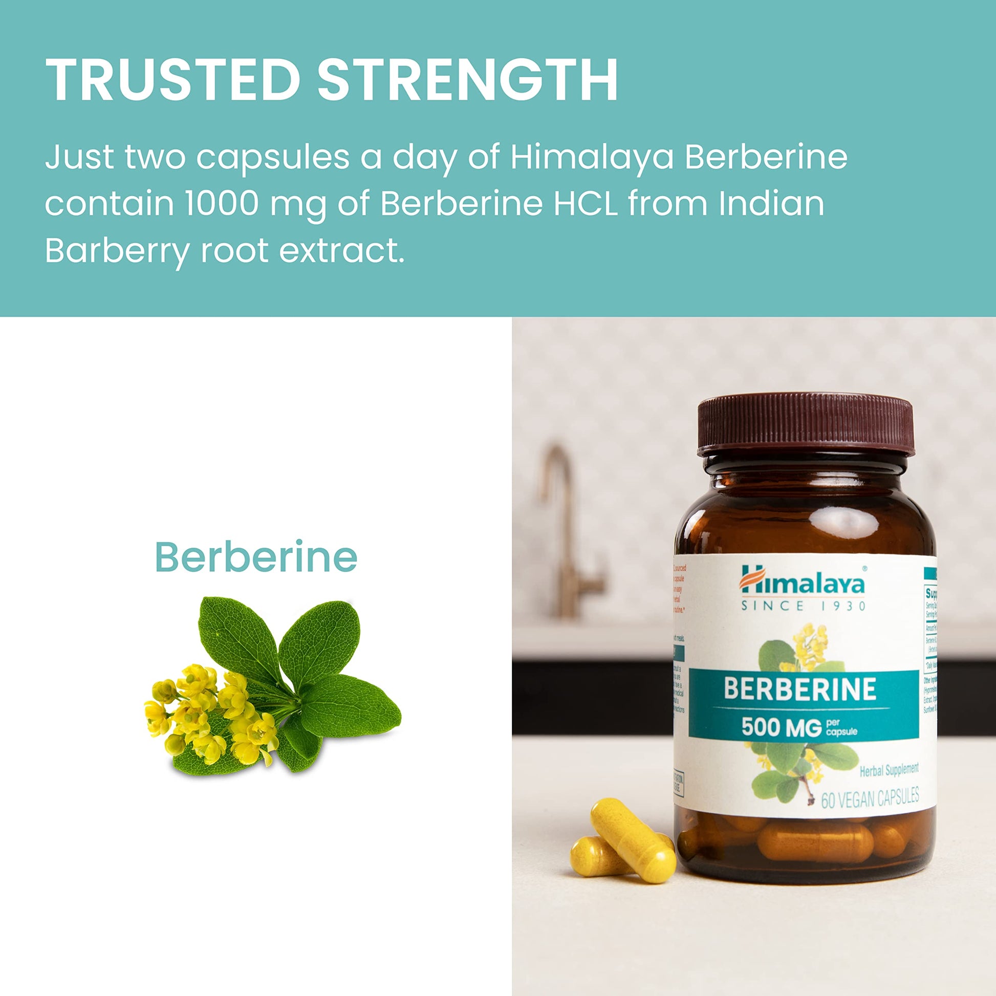 Himalaya Berberine - Herbal Supplement for Supporting Normal Metabolism, Immune, and Digestive Health - Vegan, Gluten Free, 500 mg, 60 Vegetarian Capsules - Medaid International