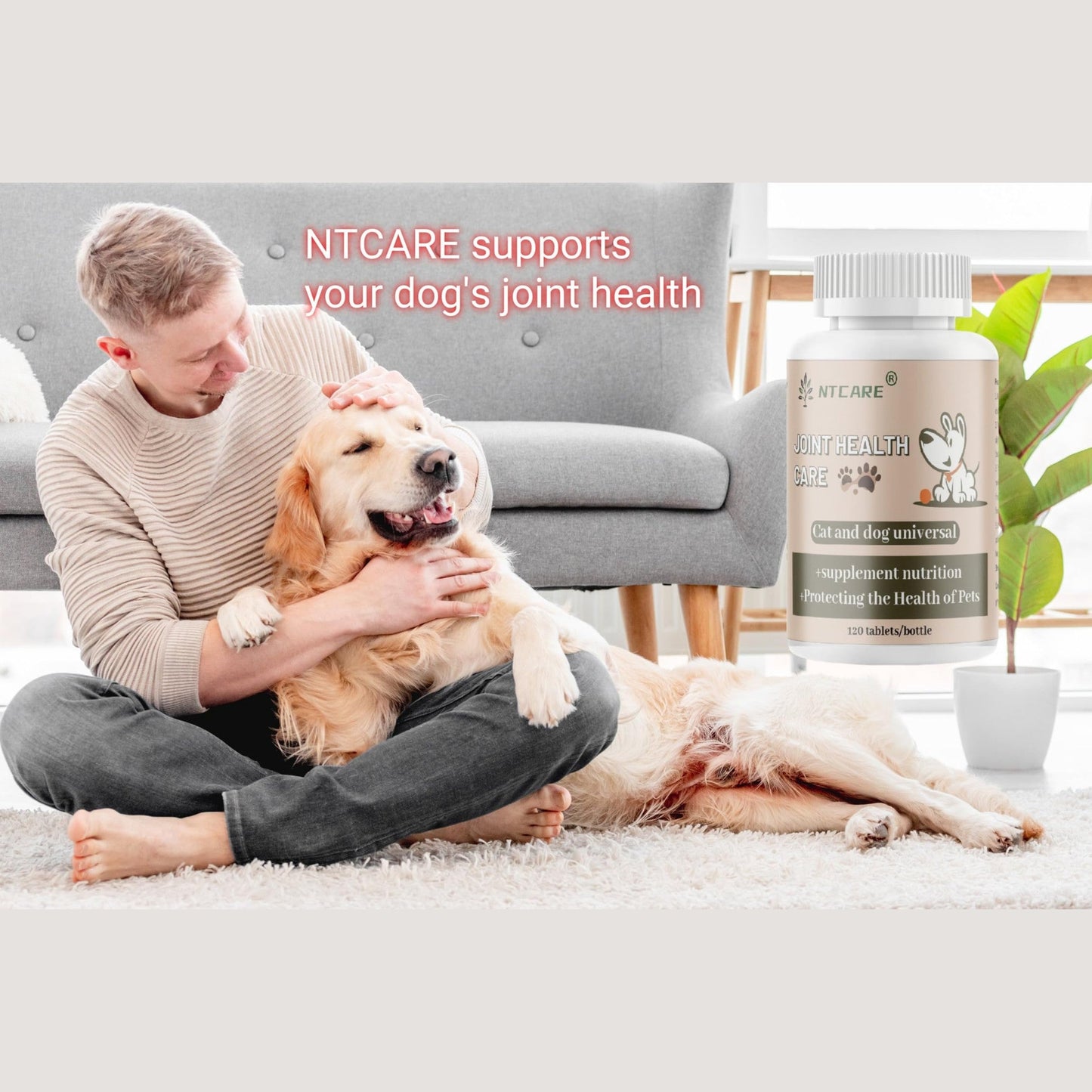 Hip and Joint Supplement for Dogs- with Glucosamine, Chondroitin, and MSM,120 Chewable Tablets, Chicken Flavor, Dog Joint Supplement，Joint Support Supplement for Dogs