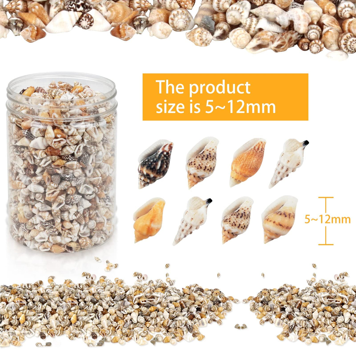 TERRIFI Shell Bead, Tiny Sea Shells, Ocean Beach Spiral Seashells, Craft Charms for Home Decorations Beach Theme Party Candle Making Jewllery DIY Crafts Fish Tank and Vase Filler(2000 Pcs)