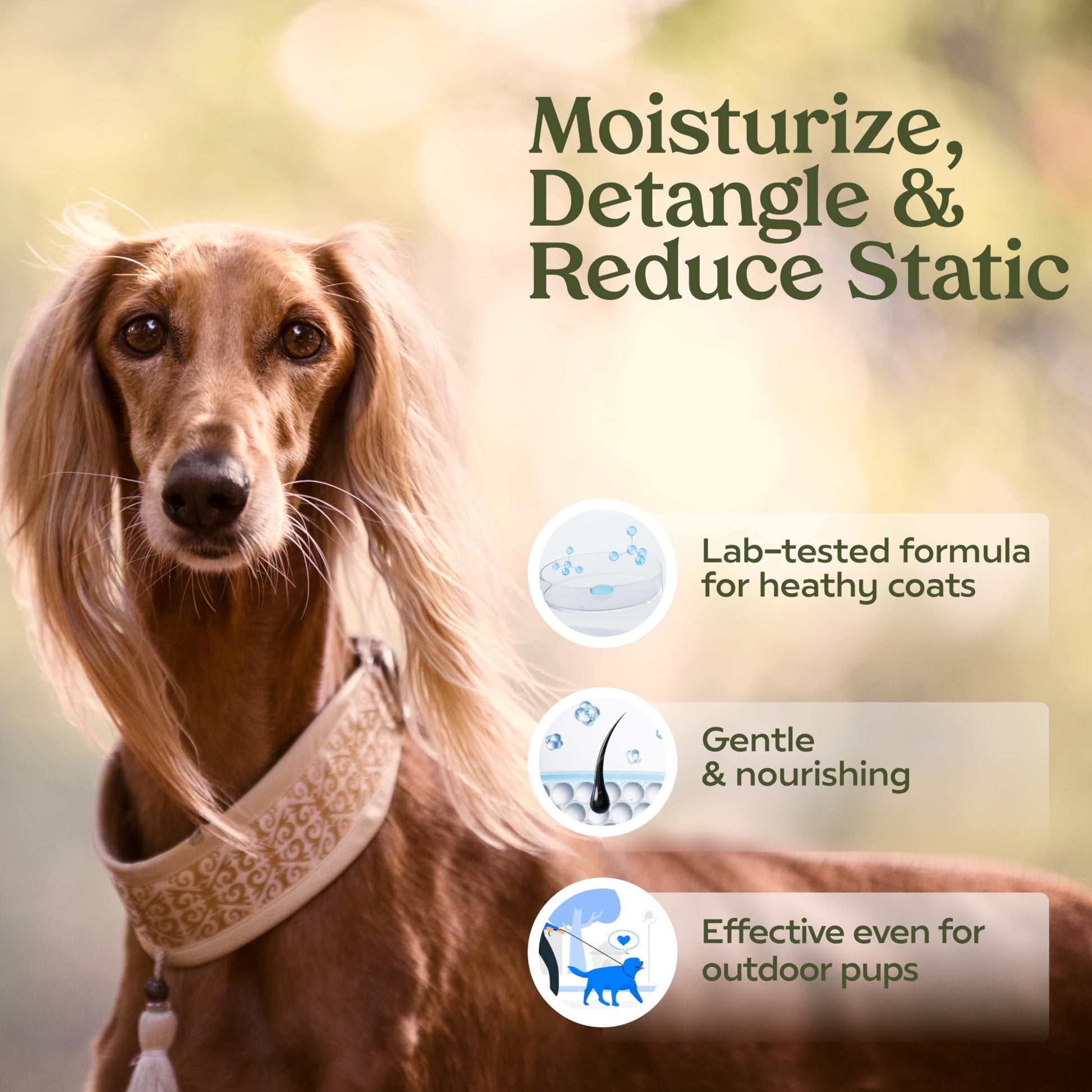 PAWFUME Dog Perfume Spray Long Lasting Scent for Grooming, Show Dog, 1-Pack – Keep Your Pup Fresh All Day – Hypoallergenic, Alcohol-Free, Detangling Formula – Moisturizing Pet Cologne Spray for Dogs - Medaid International