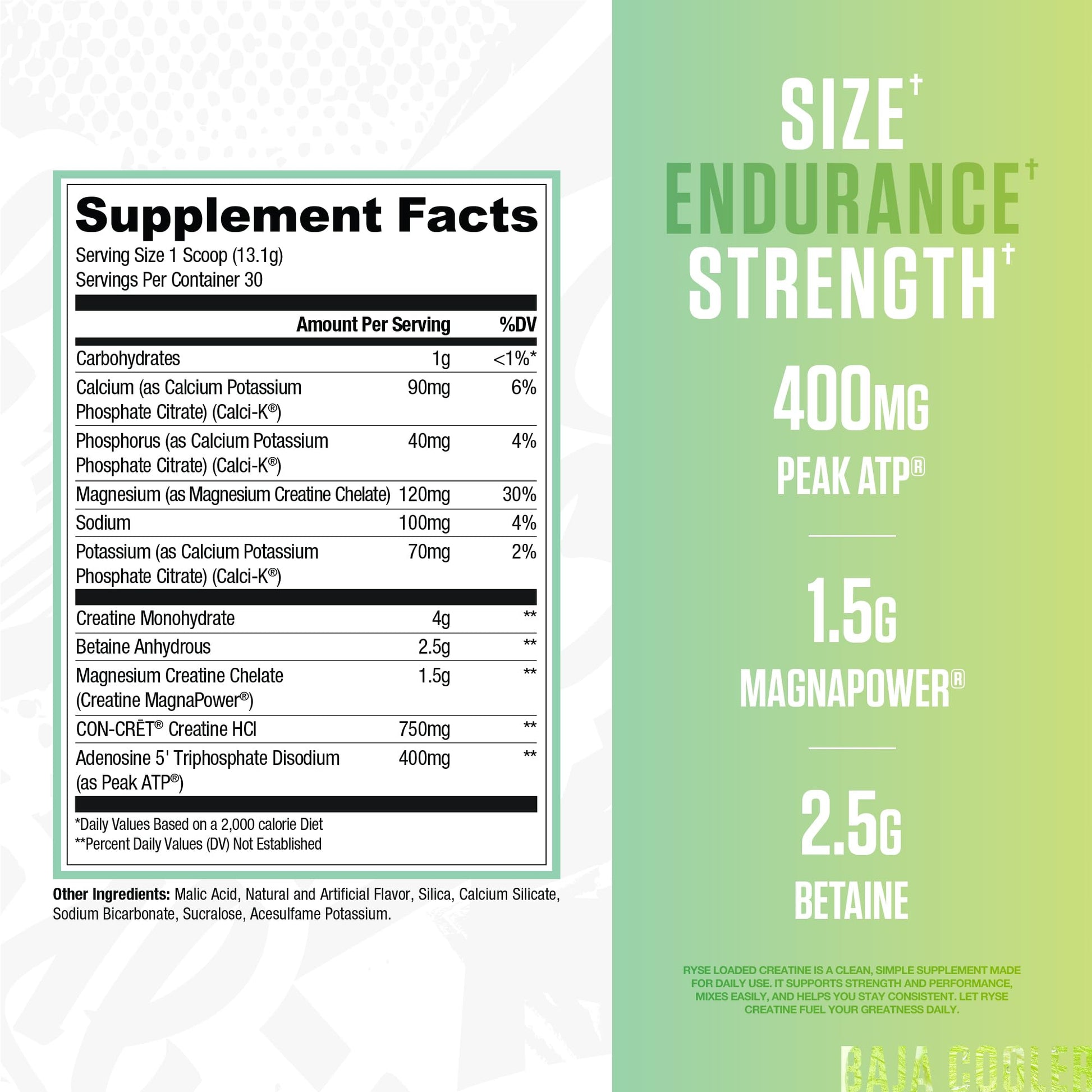 RYSE Loaded Creatine for Men & Women - Baja Cooler - Muscle Building Formula with 3 Forms of Electrolytes, Betaine Anhydrous and Peak ATP - Strength, Power & Endurance Support - 30 Servings - Medaid International