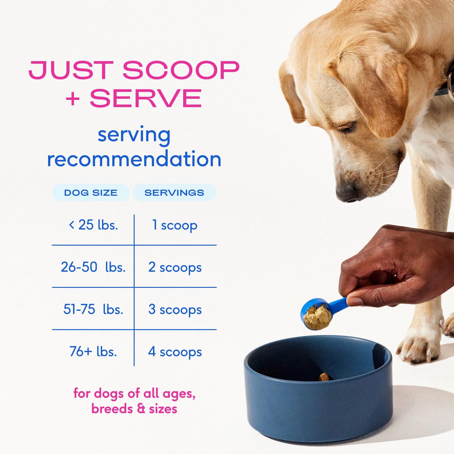 Native Pet Hip & Joint Advanced Care Dog Joint Supplement Powder for Mobility & Movement Support, Joint Supplement for Dogs with HMB, UC-II Collagen, Green Lipped Mussel & Hyaluronic Acid – 30 Scoops