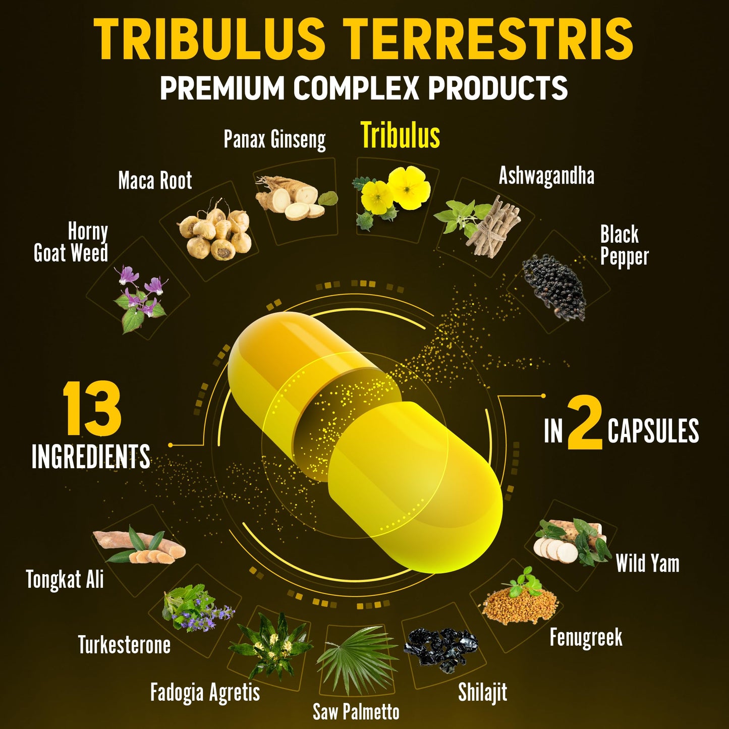 Zolotus 13in1 Tribulus Terrestris Capsules with Maca, Horny Goat Weed, Panax Ginseng, Saw Palmetto, Tongkat Ali, Shilajit & More - Energy, Stamina Supplement for Men & Women - 120 Counts - Medaid International