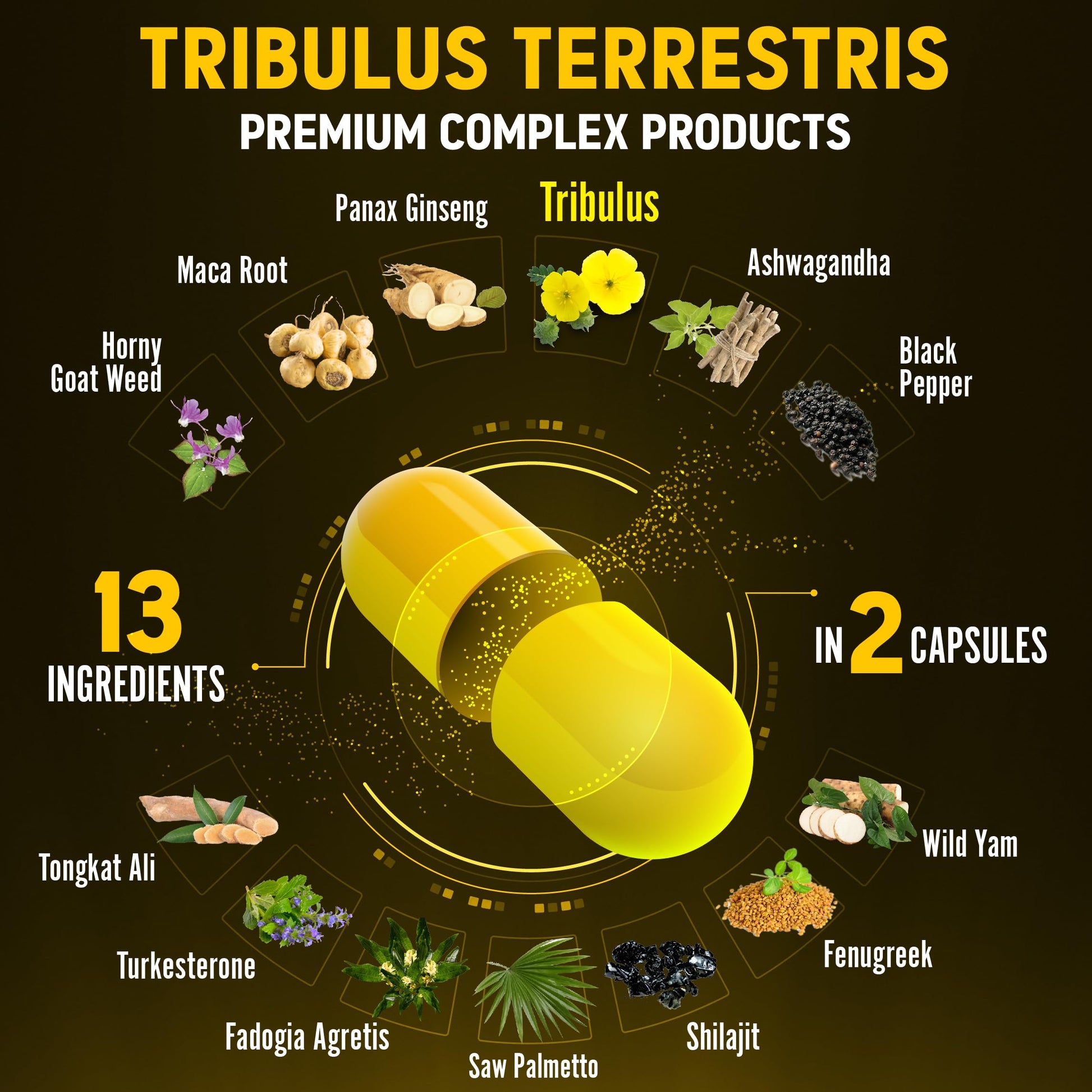 Zolotus 13in1 Tribulus Terrestris Capsules with Maca, Horny Goat Weed, Panax Ginseng, Saw Palmetto, Tongkat Ali, Shilajit & More - Energy, Stamina Supplement for Men & Women - 120 Counts - Medaid International
