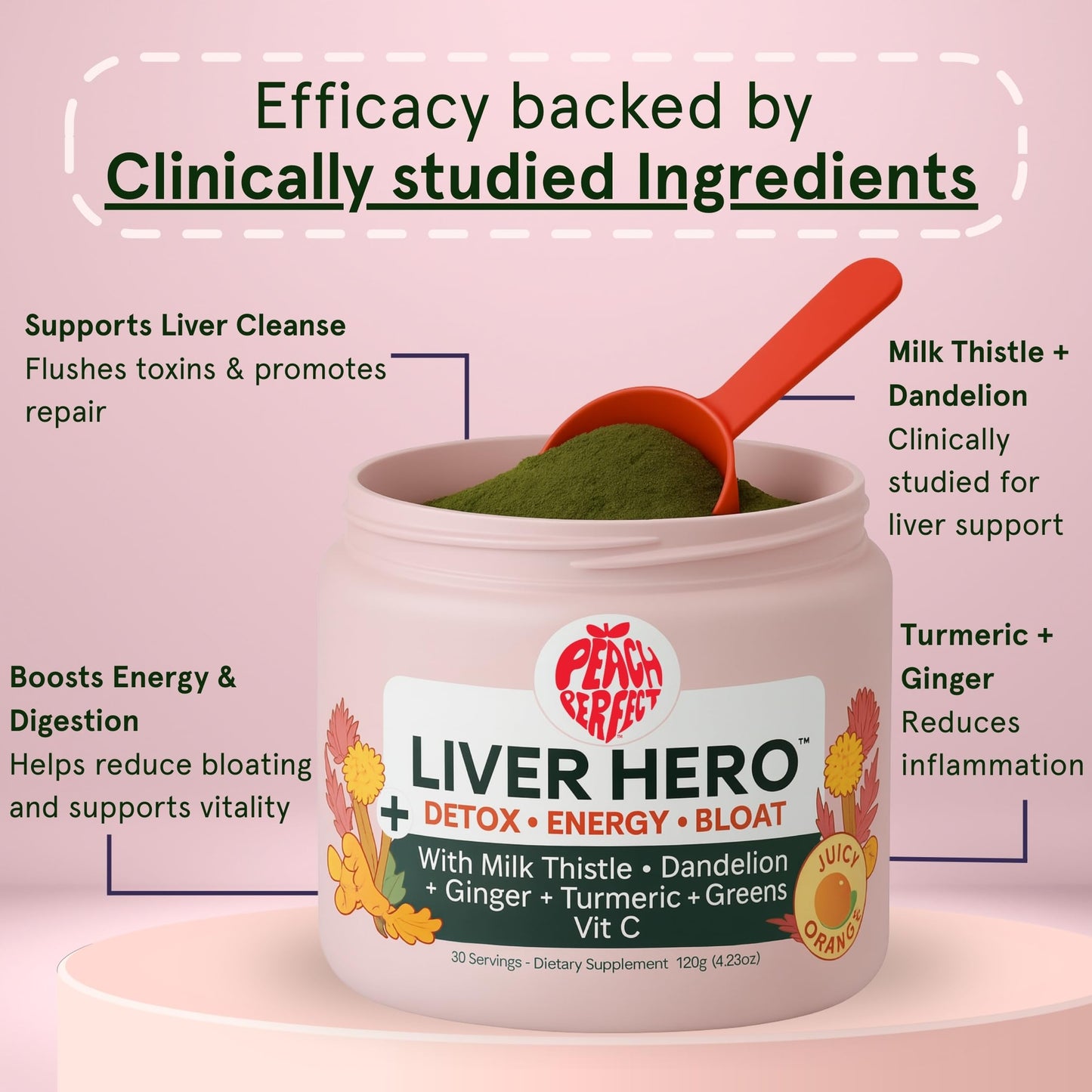 Peach Perfect Liver Hero – Premium Liver Detox and Bloat Support Powder for Women | Milk Thistle, Dandelion, Turmeric, Ginger, Chlorophyll and Vitamin C | Daily Energy, Digestion and Skin Clarity | Juicy Orange Flavor – 30 Servings - Medaid International