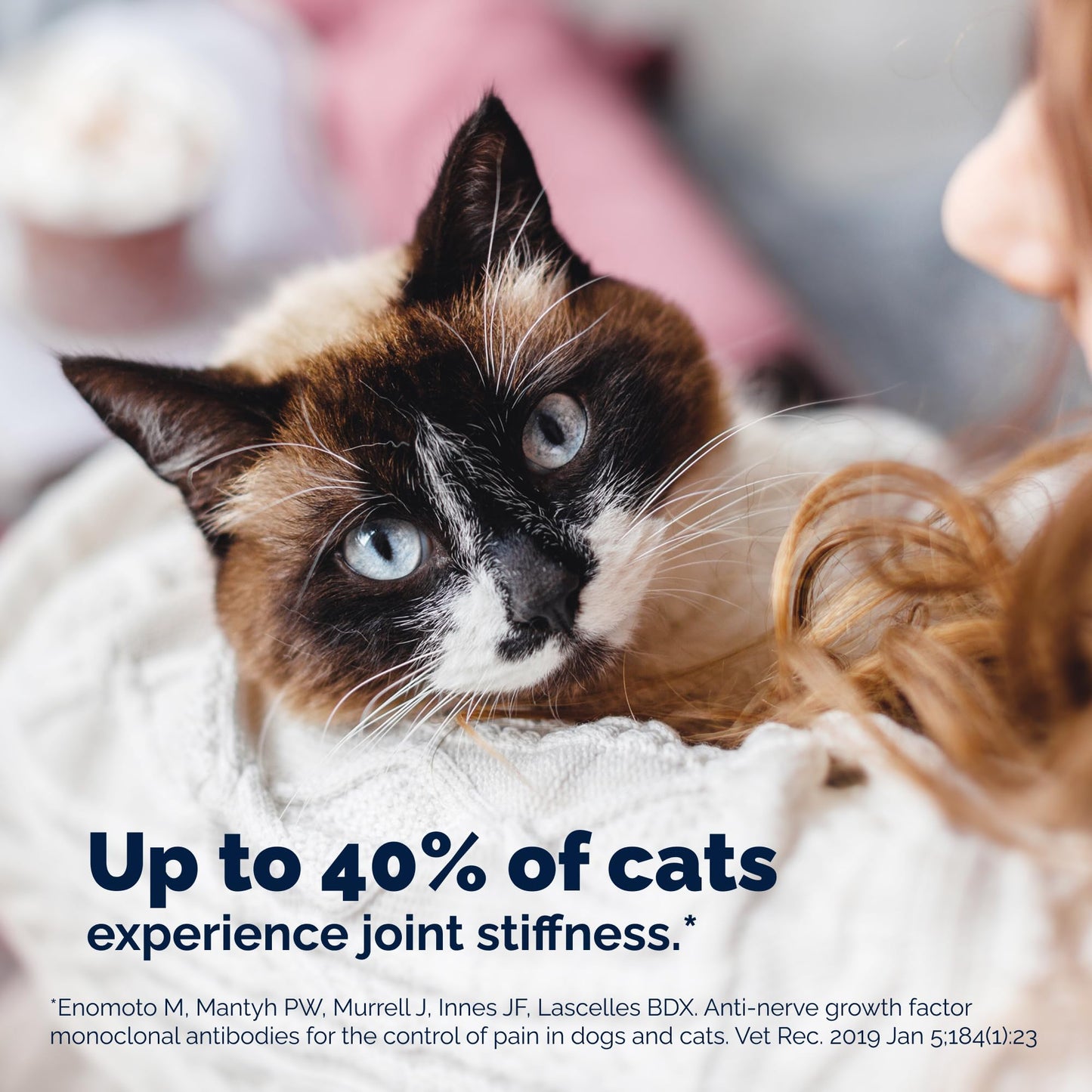 YuMove Joint Care for Senior Cats