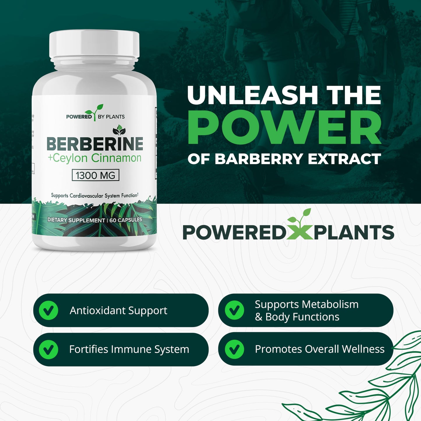 POWERED X PLANTS Pure Berberine Supplement - 1300mg Berberine with Ceylon Cinnamon for Metabolism & Immune System Support - 60 Servings - Medaid International