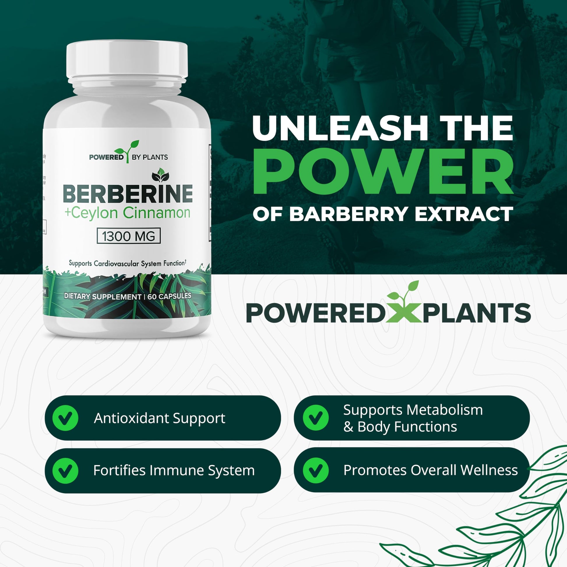 POWERED X PLANTS Pure Berberine Supplement - 1300mg Berberine with Ceylon Cinnamon for Metabolism & Immune System Support - 60 Servings - Medaid International