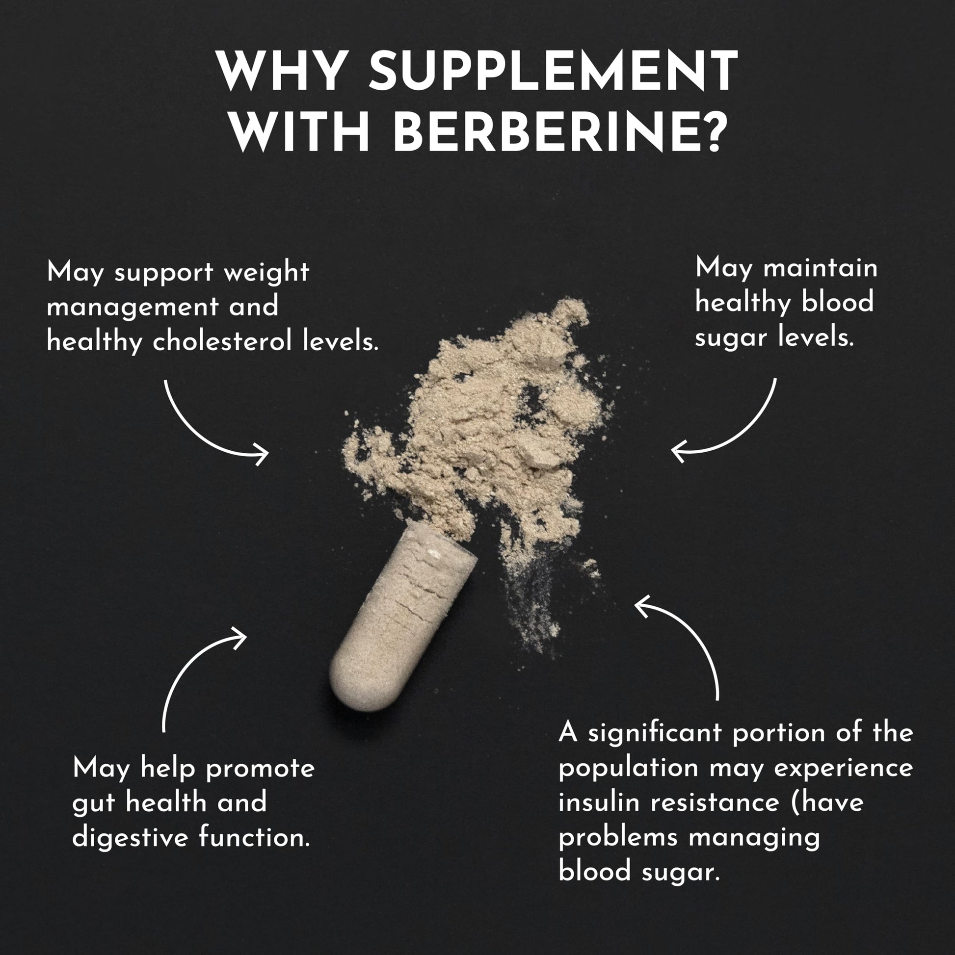 JUST INGREDIENTS Berberine Supplement – 30-Capsule Herbal Support Formula with Organic Berberis Aristata – Traditionally Used for Metabolic Health, Cellular Function & Overall Wellness. - Medaid International