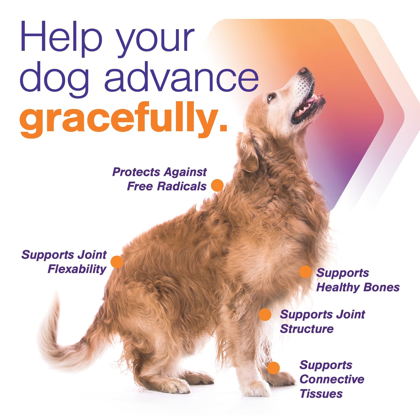 Advanced Soft Chews Hip and Joint Support Supplement for Small Dogs - Movoflex 120 Count by Virbac