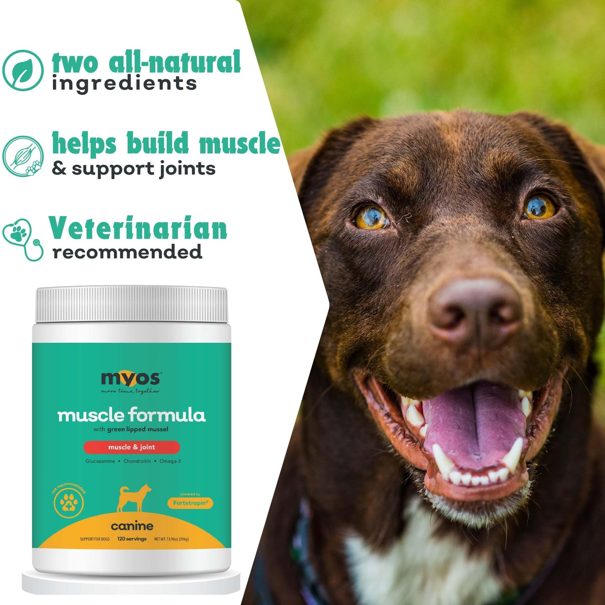 MYOS Muscle & Joint Powered by Fortetropin with Green Lipped Mussel (396 gr) - Medaid International