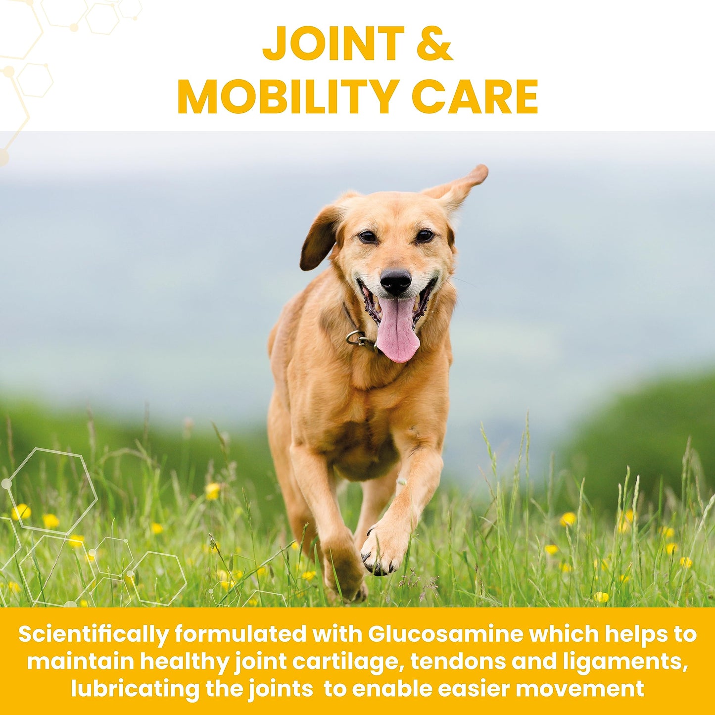 Vetzyme Flexible Joint Tablets with Glucosamine, 90 Tablets - Medaid International