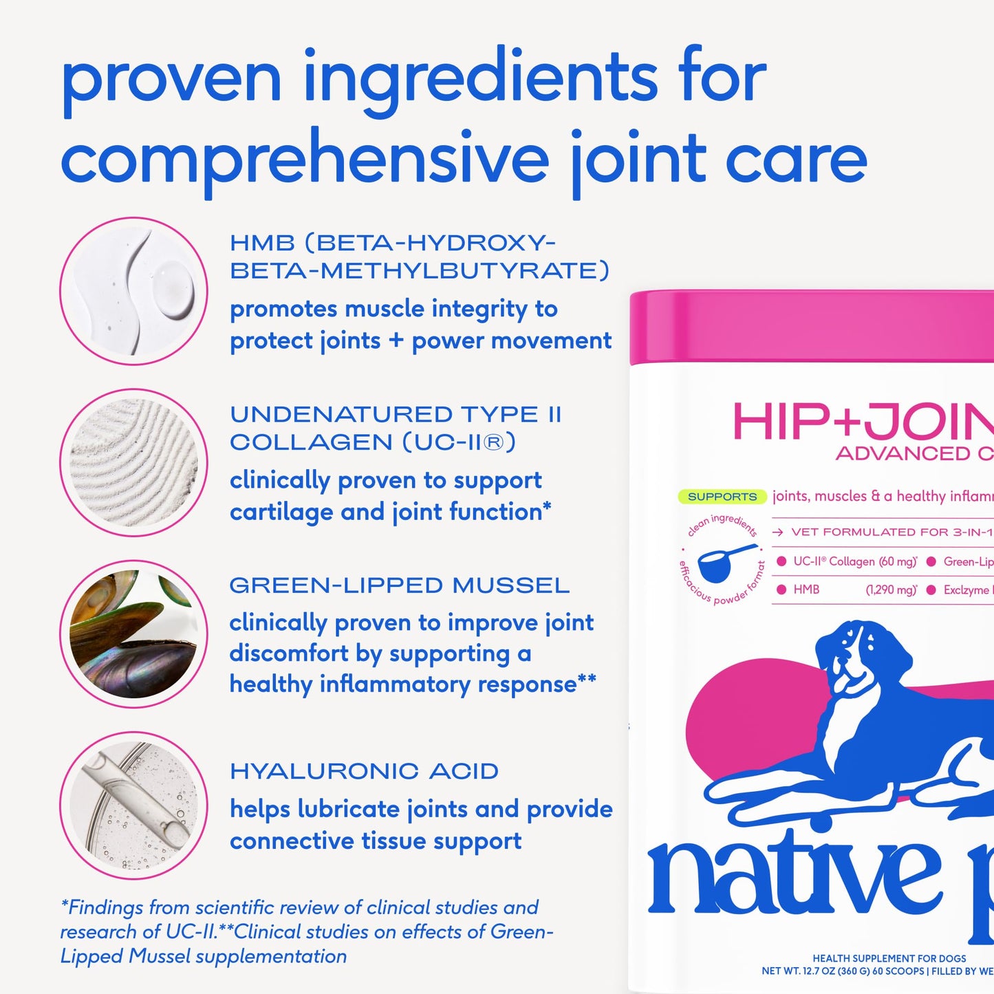 Native Pet Hip & Joint Advanced Care Dog Joint Supplement Powder for Mobility & Movement Support, Joint Supplement for Dogs with HMB, UC-II Collagen, Green Lipped Mussel & Hyaluronic Acid – 30 Scoops