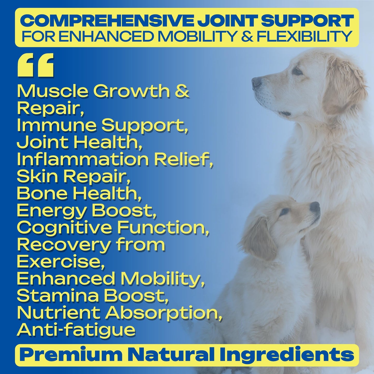 Dog Weight Gainer High Calorie Soft Chews – Muscle Gain Supplement for Dogs – Whey Protein, Omega-3, Amino Acids & Vitamins – Weight Gain Support for Puppies, Adults & Senior Dogs – 120 Soft Chews - Medaid International