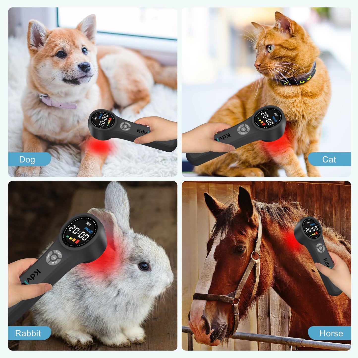 Kdvioo Cold Laser Therapy for Dogs,Red Light Therapy Devices,16x660nm+4x810nm+4x980nm,Infrared Red Light Therapy Machine for Dogs Cats Muscle and Joint Pain Relief,Handheld Infrared Light for Pet/Vet - Medaid International