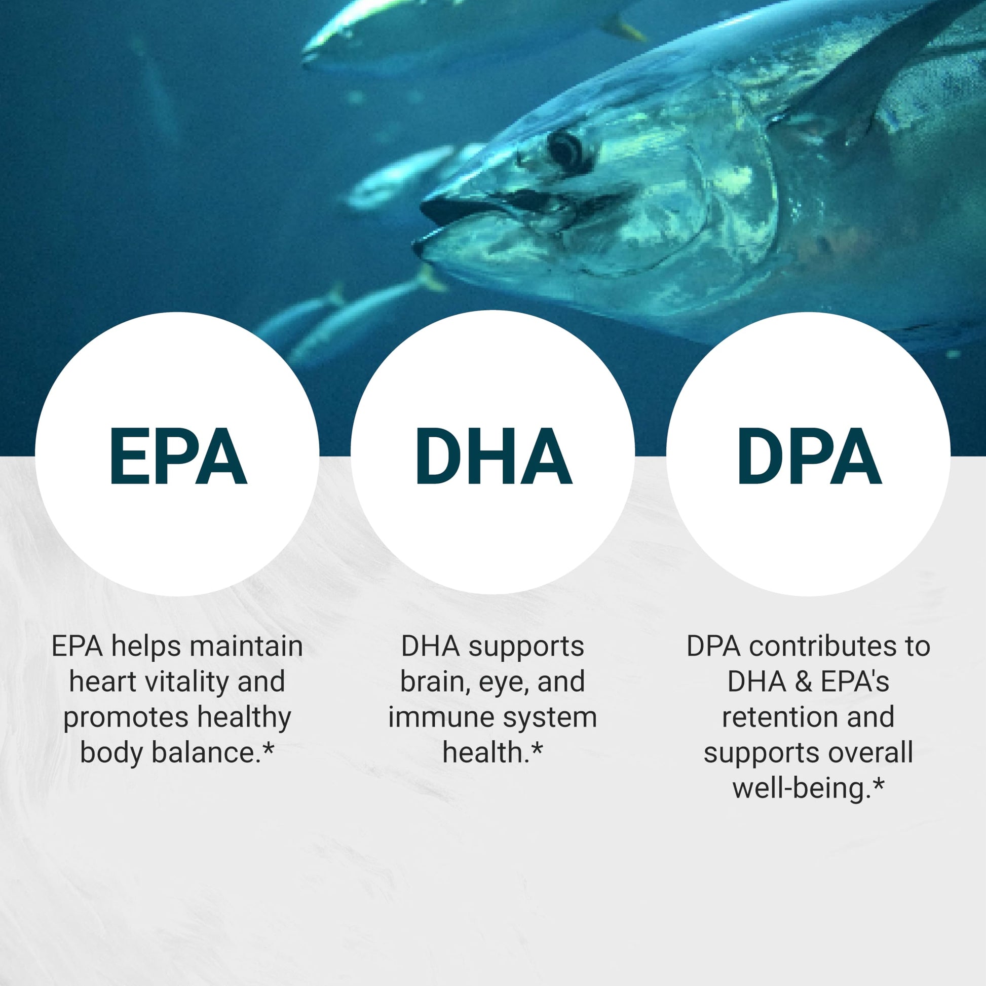 Naturalis Ultimate rTG Omega 3 Fish Oil 1800mg from Wild New Zealand Tuna - Full Spectrum Omega3s EPA, DHA & DPA - Sustainably Sourced, Non-GMO, Gluten Free - 180 Softgels - Medaid International