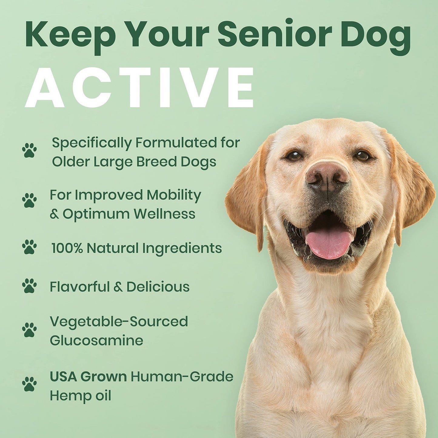 Veterinary Naturals Hemp & HIPS Joint Supplement for Dogs/Supports Relief from Hip and Joint Pain in Large, Aging Dogs (Senior Large Breed, Chicken)