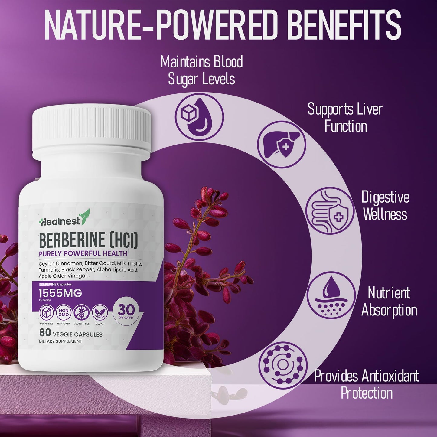 Berberine (HCI) 500mg - with Ceylon Cinnamon, Turmeric, Milk Thistle, Bitter Gourd, Alpha Lipoic Acid - Non-GMO, Gluten Free, 60 Vegan Capsules. - Medaid International