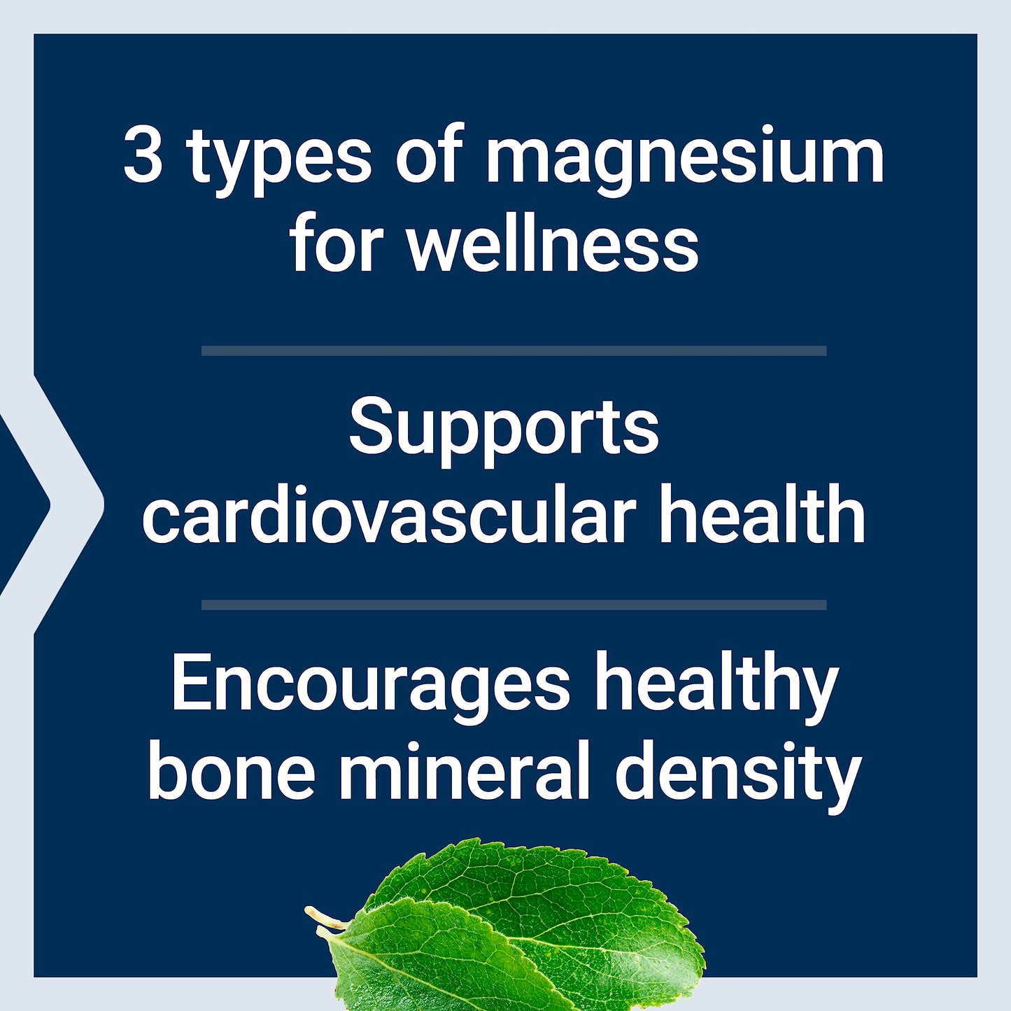 Life Extension Magnesium Caps, 500 mg, Magnesium Oxide, Citrate, and Succinate, Heart Health, Healthy Bones, Metabolism Support, 100 Vegetarian Capsules - Medaid International