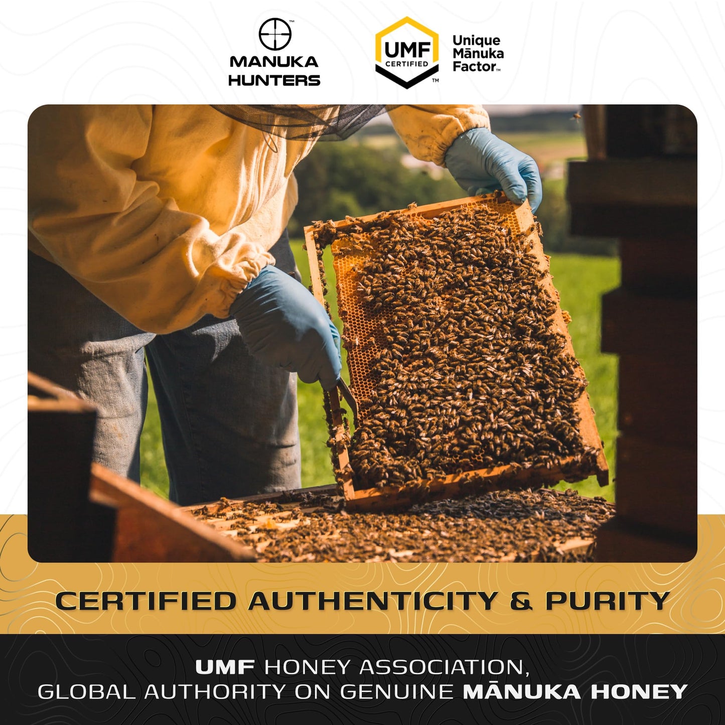 Manuka Hunters UMF 26+/MGO 1280+ Certified New Zealand Manuka Honey - 100% Pure Natural Sweetener - Gluten, Dairy Free - Ideal for Tea, Coffee, Smoothies, and Baking - Sustainable - 8.8oz/250g Jar - Medaid International