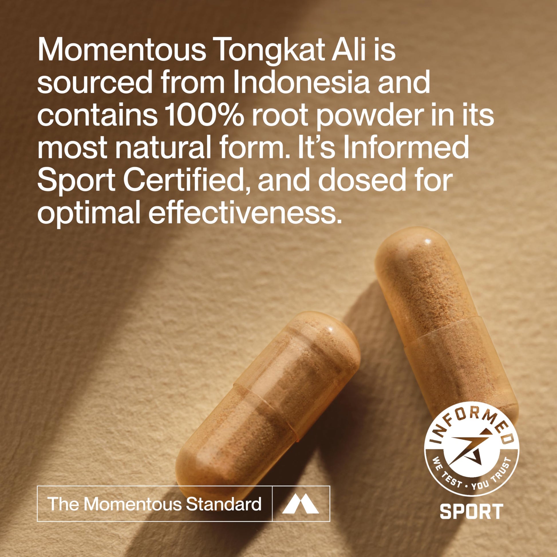 Momentous Tongkat Ali Supplement - Longjack Root Extract Powder for Men & Women - Supports Hormone Balance, Performance, & Mood - Natural Wellness - Informed Sport Certified - 400 mg - 30 Servings - Medaid International