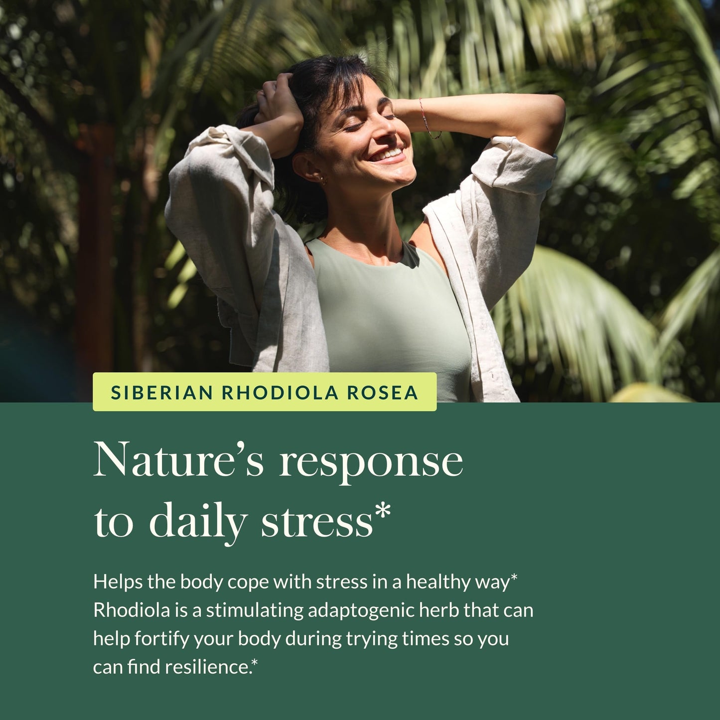 Gaia Herbs Rhodiola Rosea - Stress Support Supplement Traditionally for Supporting Healthy Stamina & Endurance - with Siberian Rhodiola Root Extract* - 60 Vegan Liquid Phyto-Capsules (30-Day Supply) - Medaid International