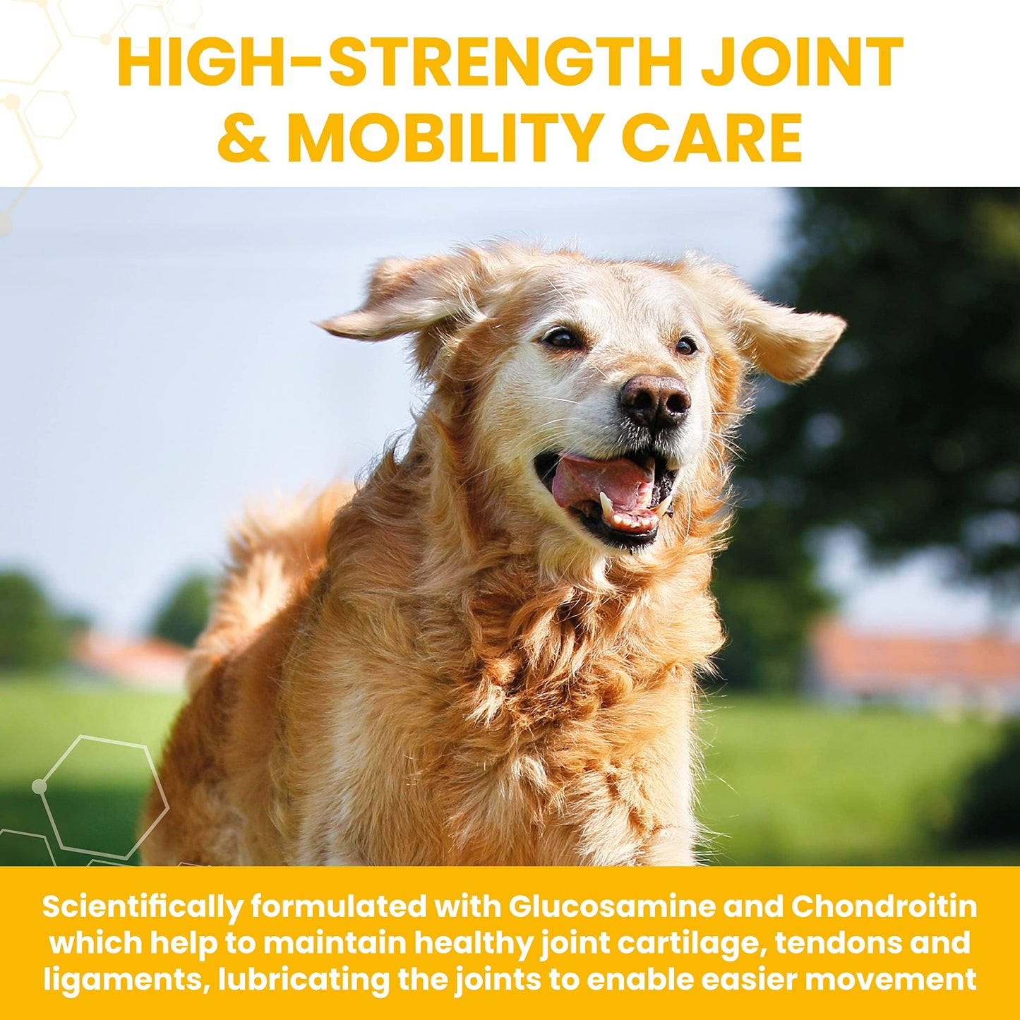 Vetzyme High Strength Flexible Joint Tablets 30 - Medaid International