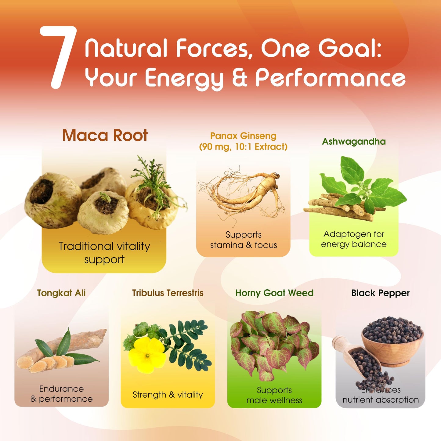 Vital Herbal Maca Root Complex with Ashwagandha, Tongkat Ali, Tribulus, Horny Goat Weed & Panax Ginseng – Herbal Support for Energy & Performance – 90-Day Supply - Medaid International