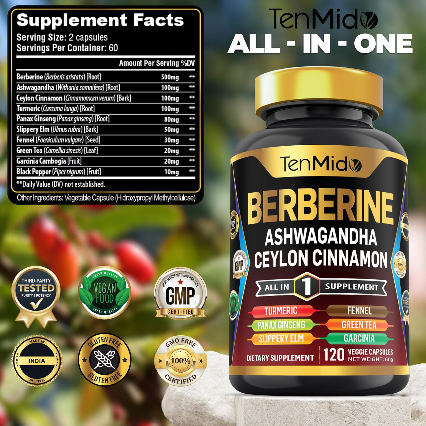 Tenmido Berberine Supplement - 10in1 Formula with Ashwagandha, Ceylon Cinnamon, Turmeric, Panax Ginseng, Slippery Elm, Fennel, Green Tea, & More - Immune, Digestive Support - 120 Caps - Medaid International