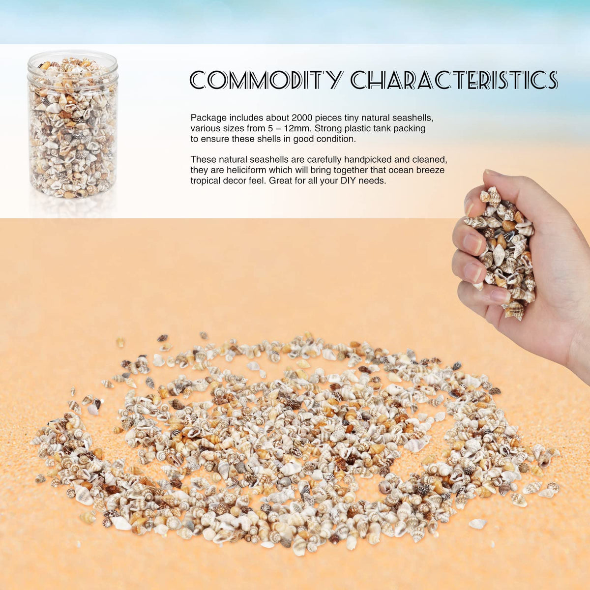 TERRIFI Shell Bead, Tiny Sea Shells, Ocean Beach Spiral Seashells, Craft Charms for Home Decorations Beach Theme Party Candle Making Jewllery DIY Crafts Fish Tank and Vase Filler(2000 Pcs)