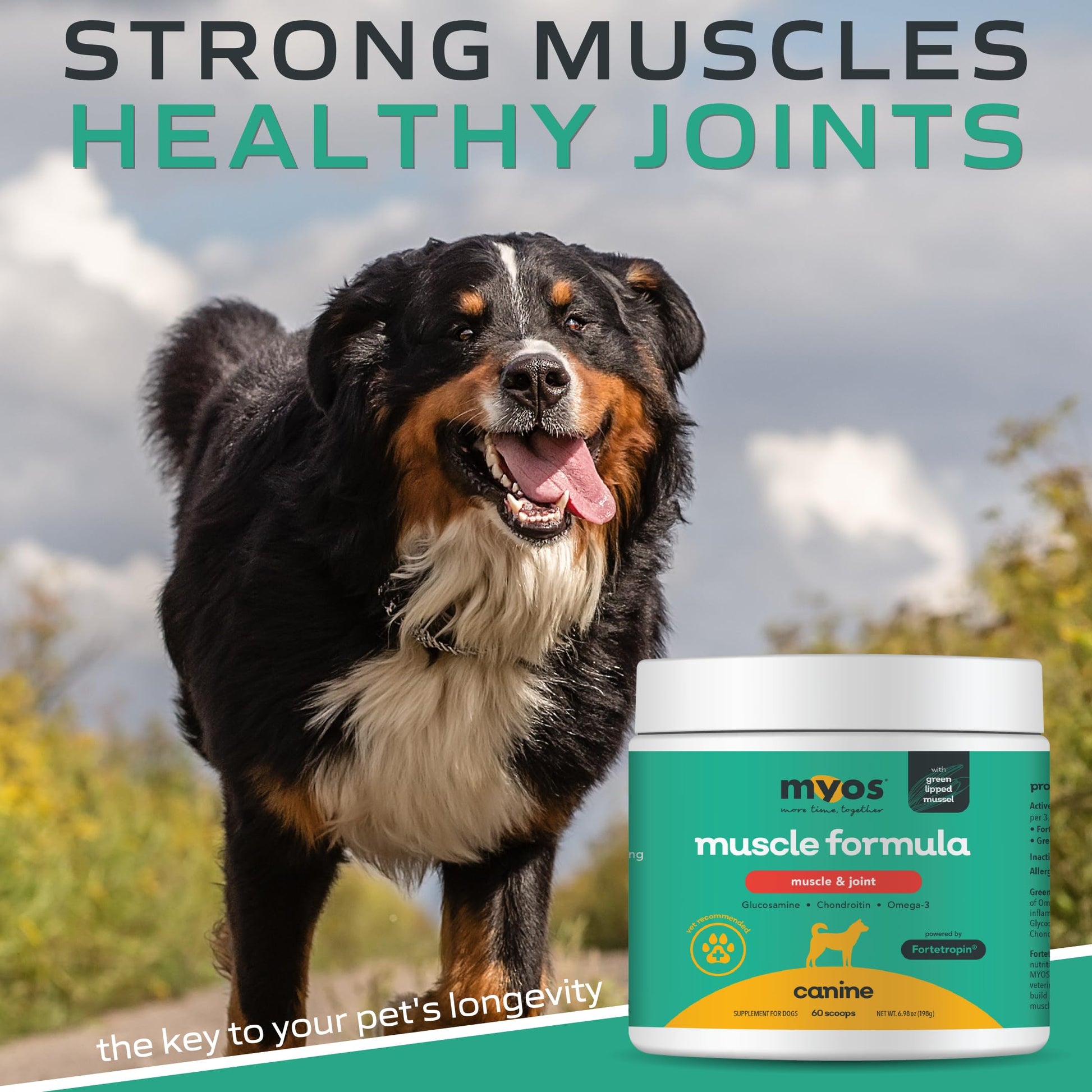 MYOS Muscle & Joint Powered by Fortetropin with Green Lipped Mussel (198 gr) - Medaid International